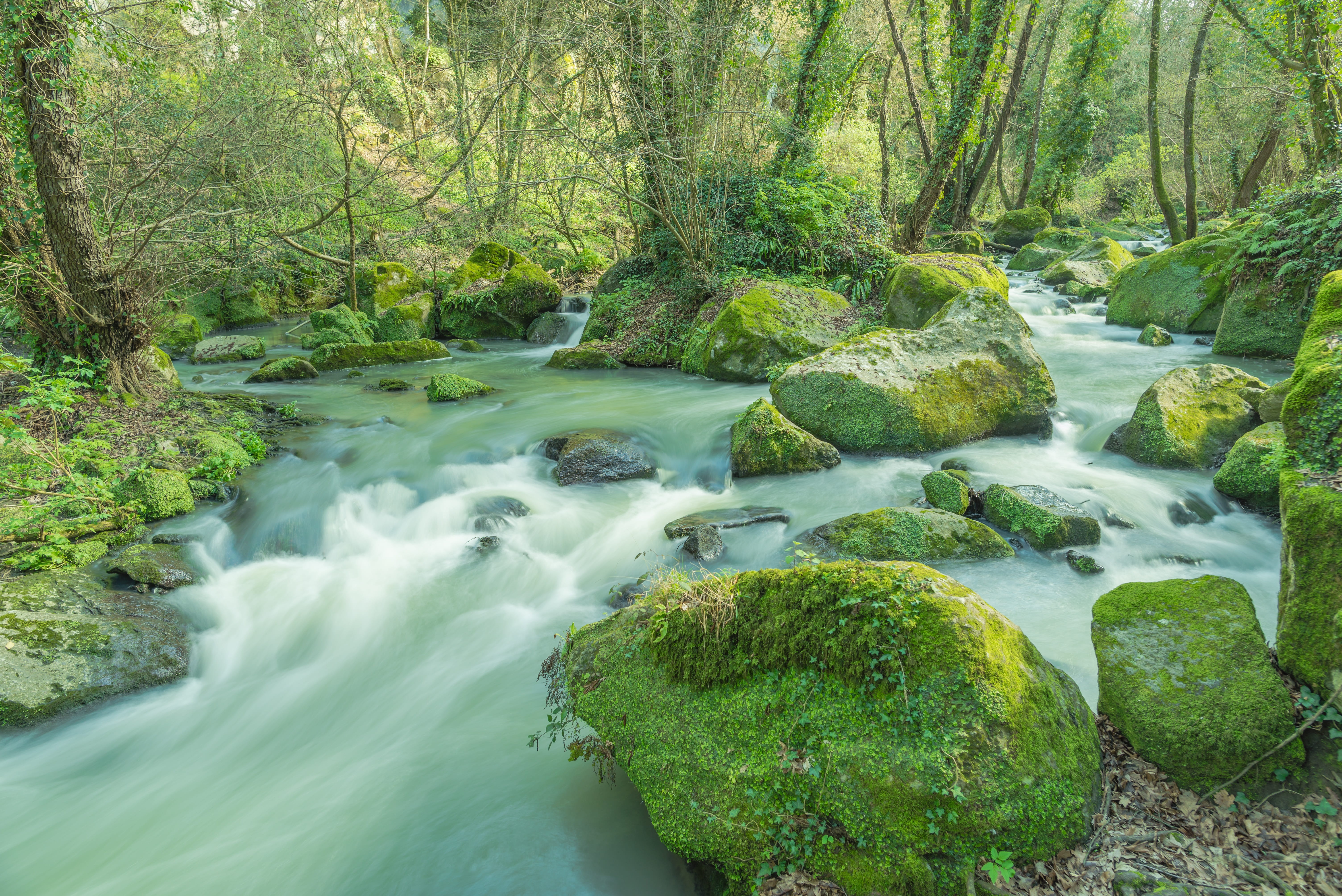 scenic, stream - flowing water, water, stream, rocks, waterfall, 5K, blurred motion, plant, tree, no people, woodland, tranquil scene, non-urban scene, HD Wallpaper