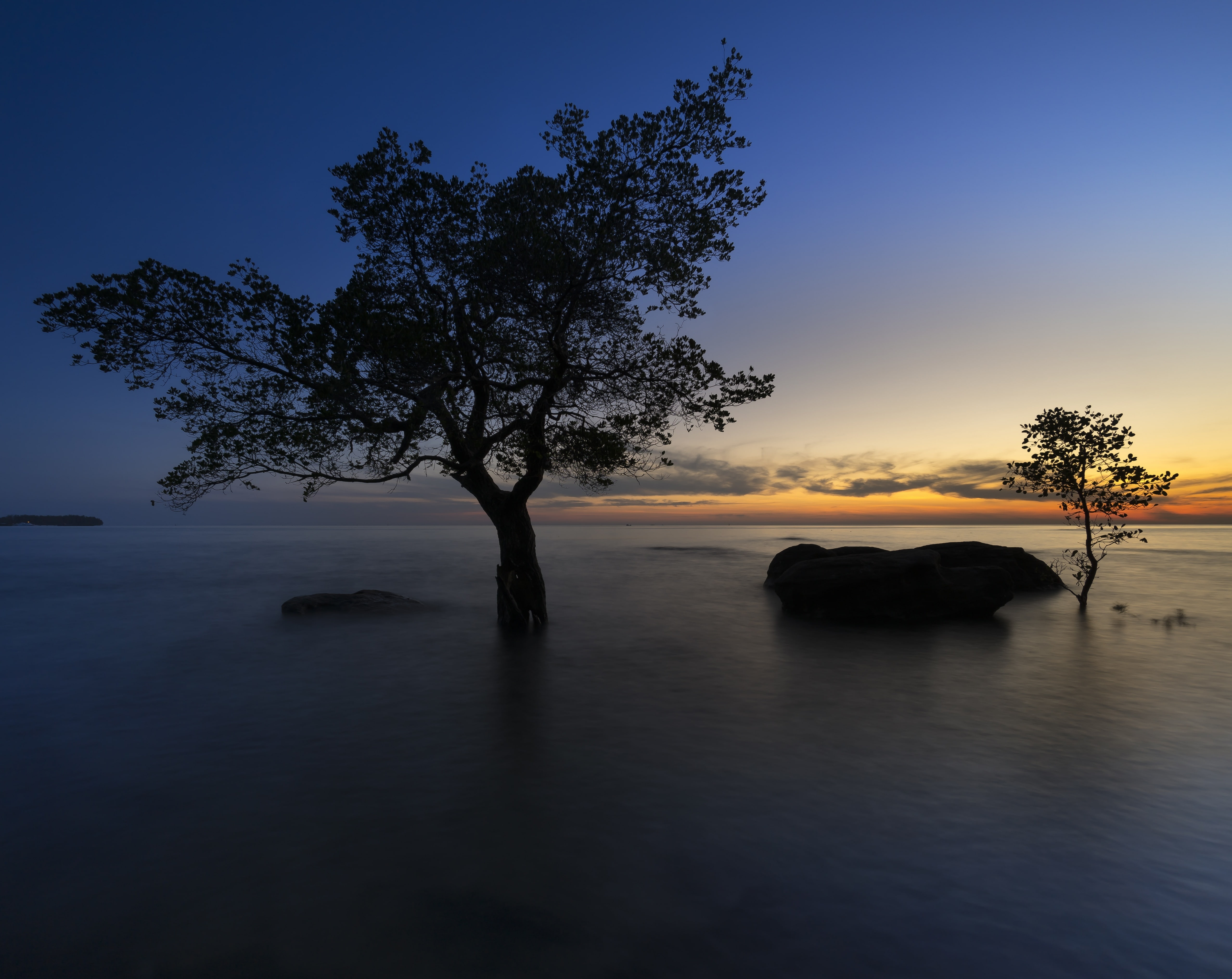 longexposure, trees, twilight, outdoors, Dark, 5K, no people, sky, scenics - nature, tranquil scene, Skyline, Nature, tranquility, Sun and Sky, reflection, HD Wallpaper