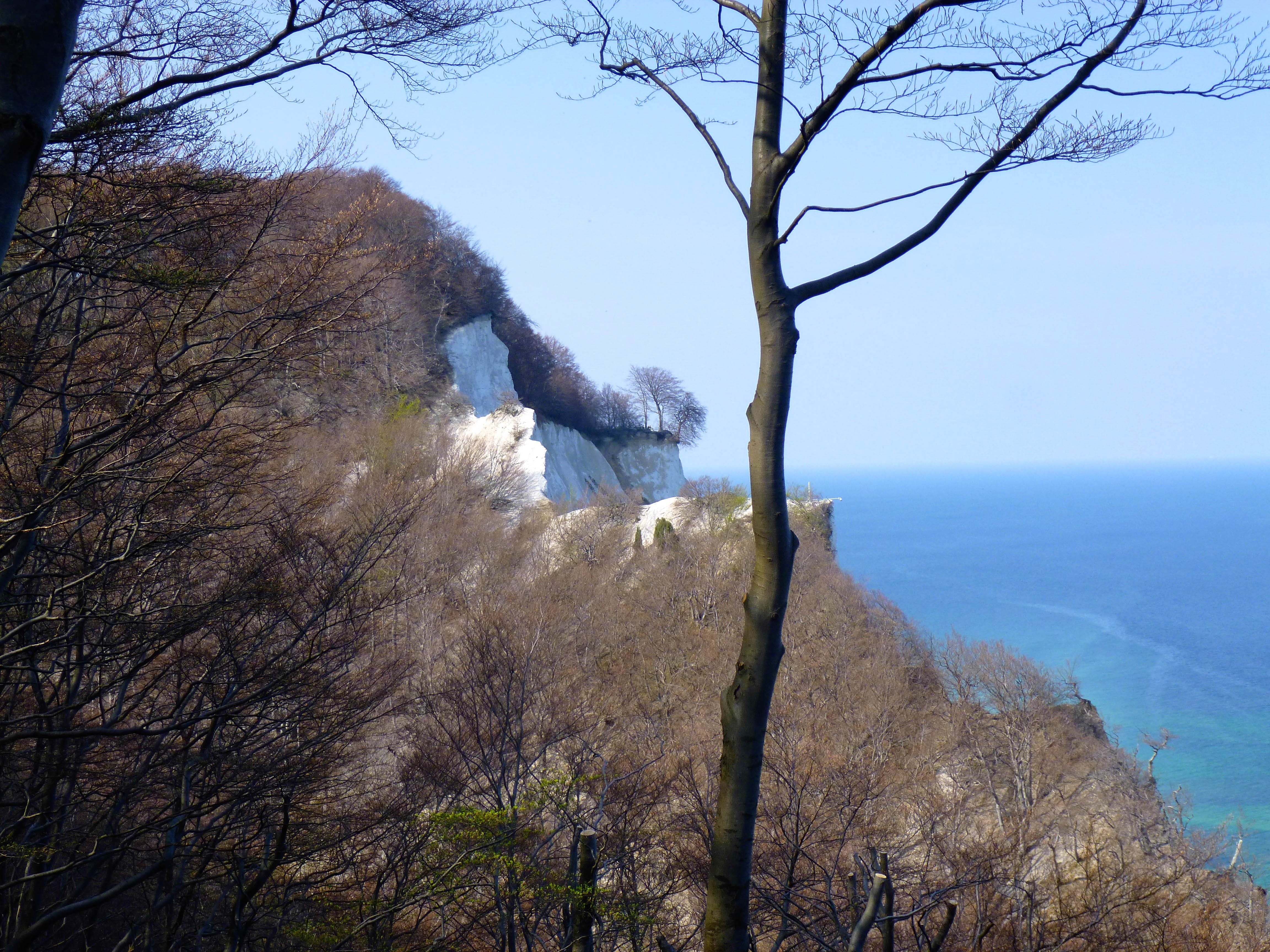 scenics - nature, mountain, tranquil scene, bare tree, non-urban scene, land, water, tranquility, sky, outdoors, 4K, rock, moens klint, white cliffs, tree, HD Wallpaper