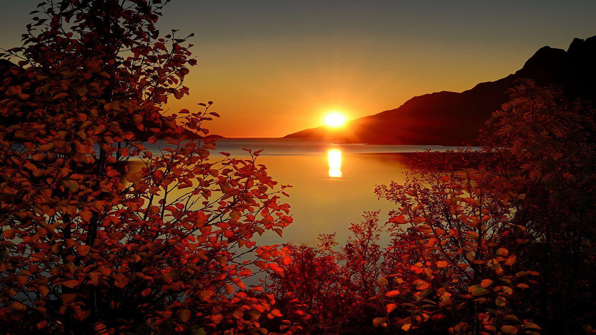 lake, 1920x1080, photo, 1080P, tree, hour, mountain, nature, golden, light, morning, HD Wallpaper