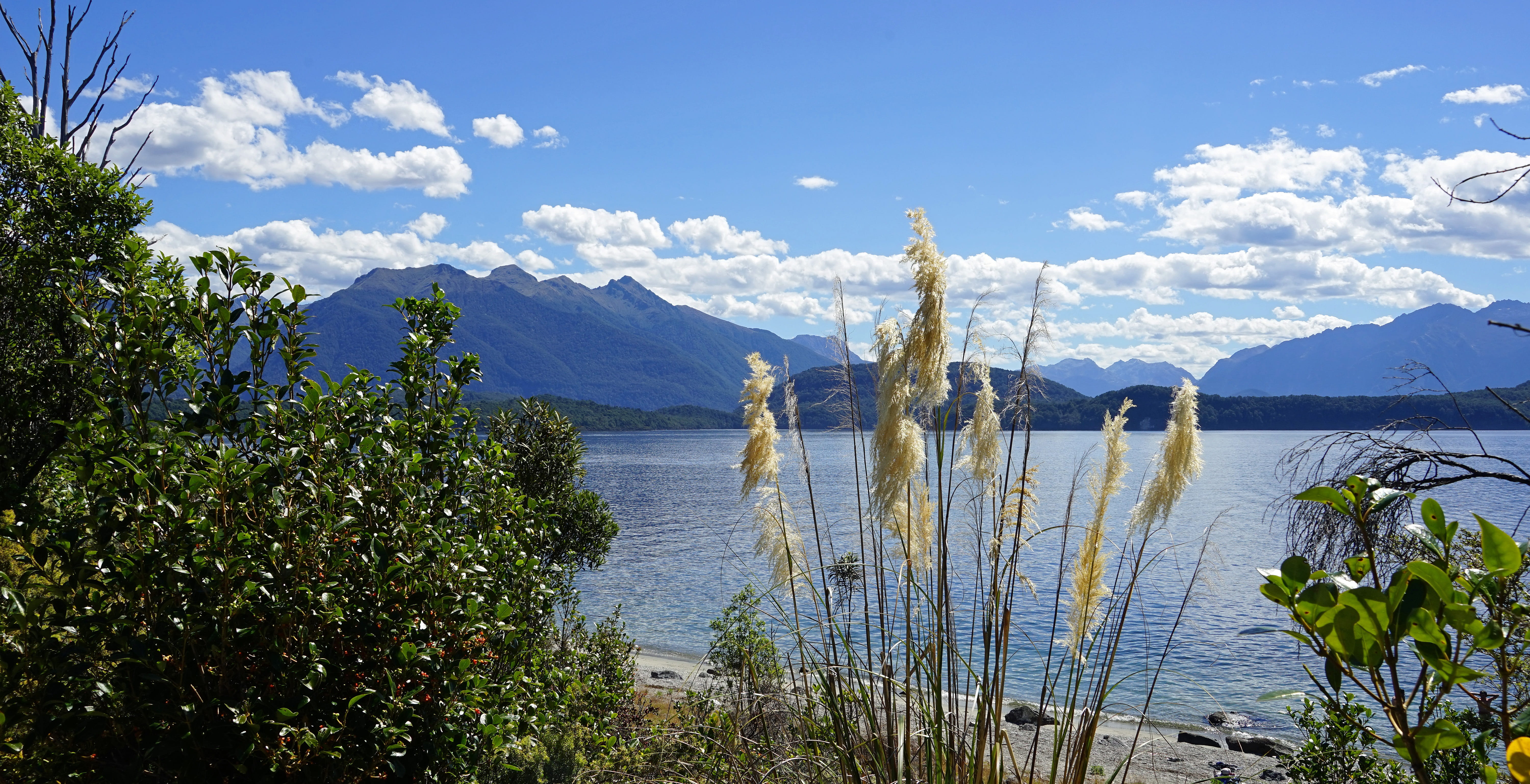Te Anau, land, South Island, Lake, day, plant, tranquility, snow, tranquil scene, 5K, landscape, te anau, water, tree, new zealand, beauty in nature, no people, HD Wallpaper