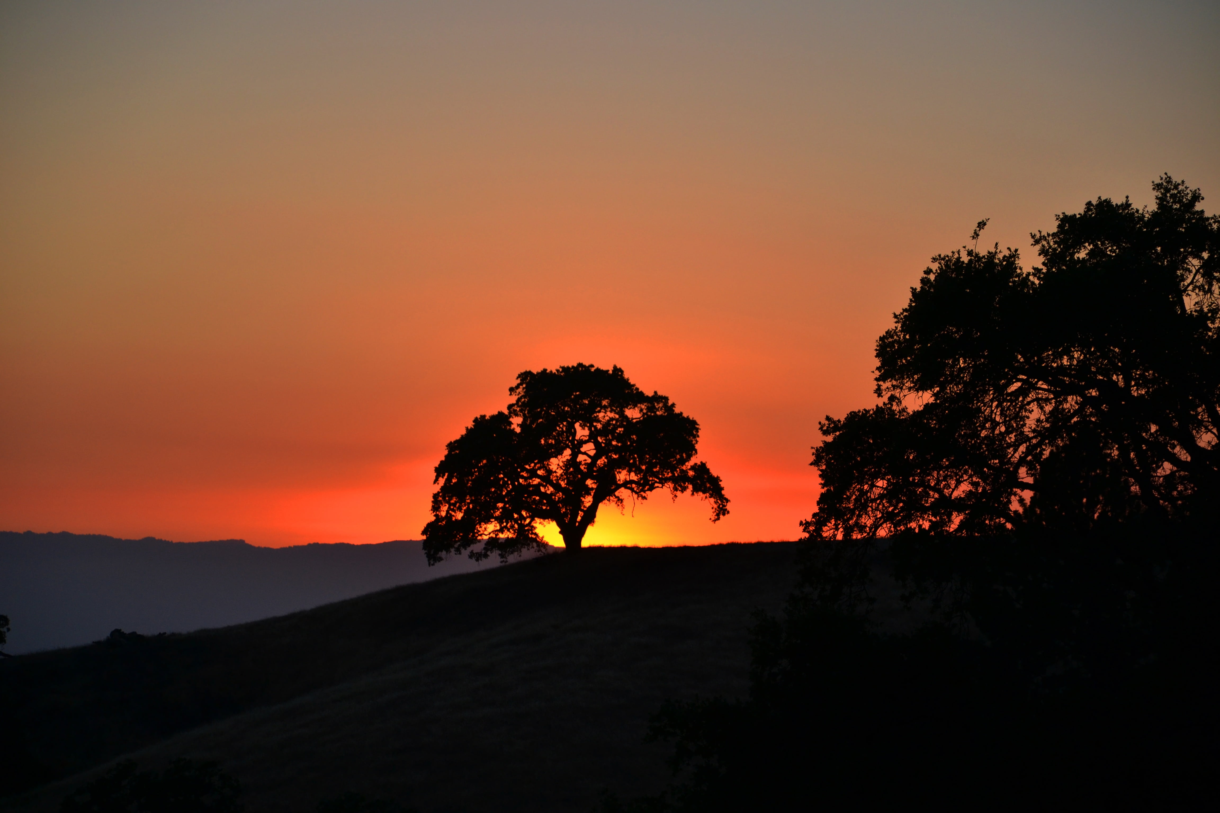 4K, land, non-urban scene, silhouette, sunset, no people, beauty in nature, abendstimmung, tranquil scene, afterglow, nature, tranquility, scenics - nature, HD Wallpaper
