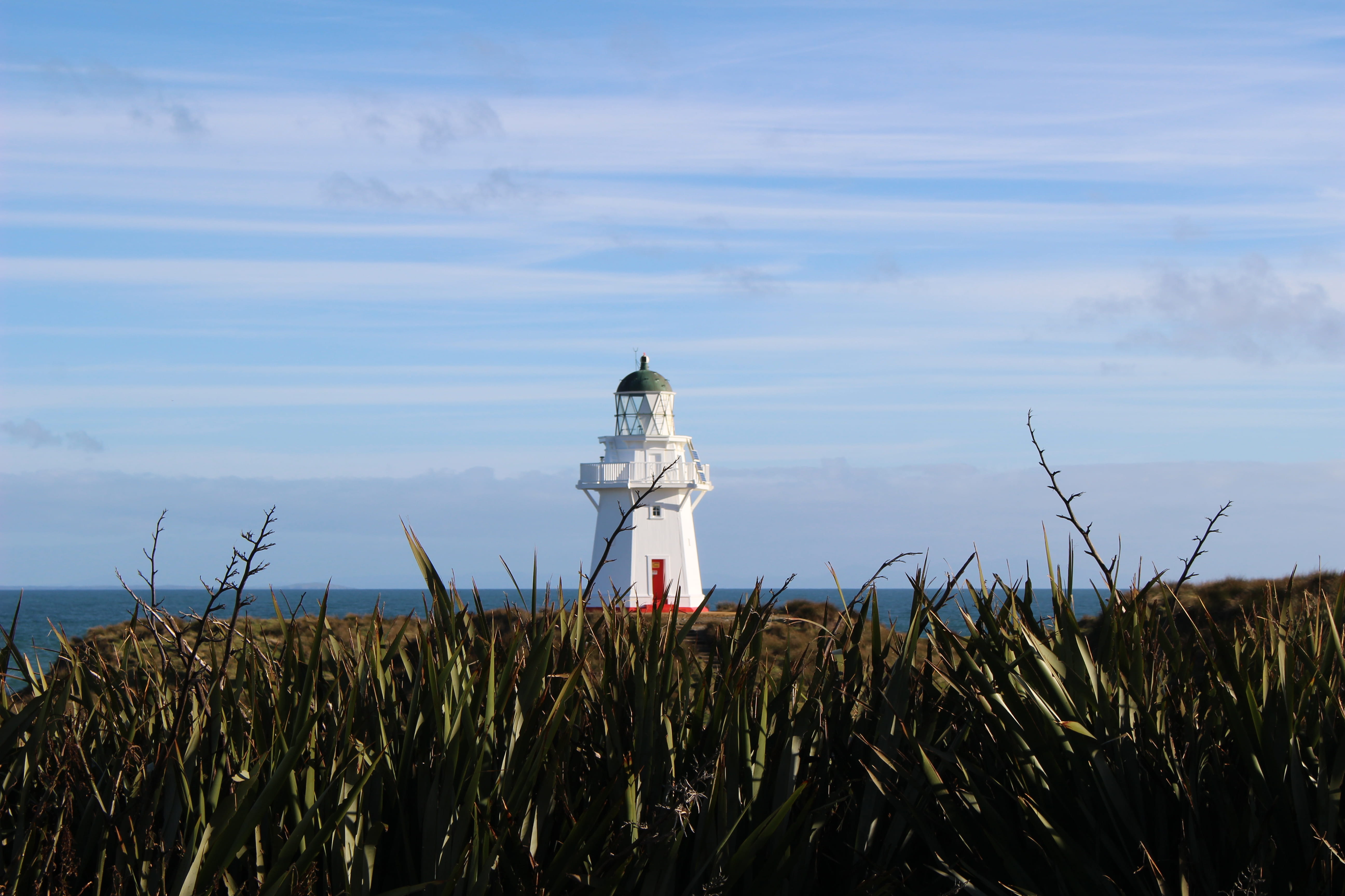 coastal, scenics - nature, security, sky, new zealand, coast, protection, blue sky, south island nz, plant, day, cloud - sky, no filter nature, grass, safety, HD Wallpaper
