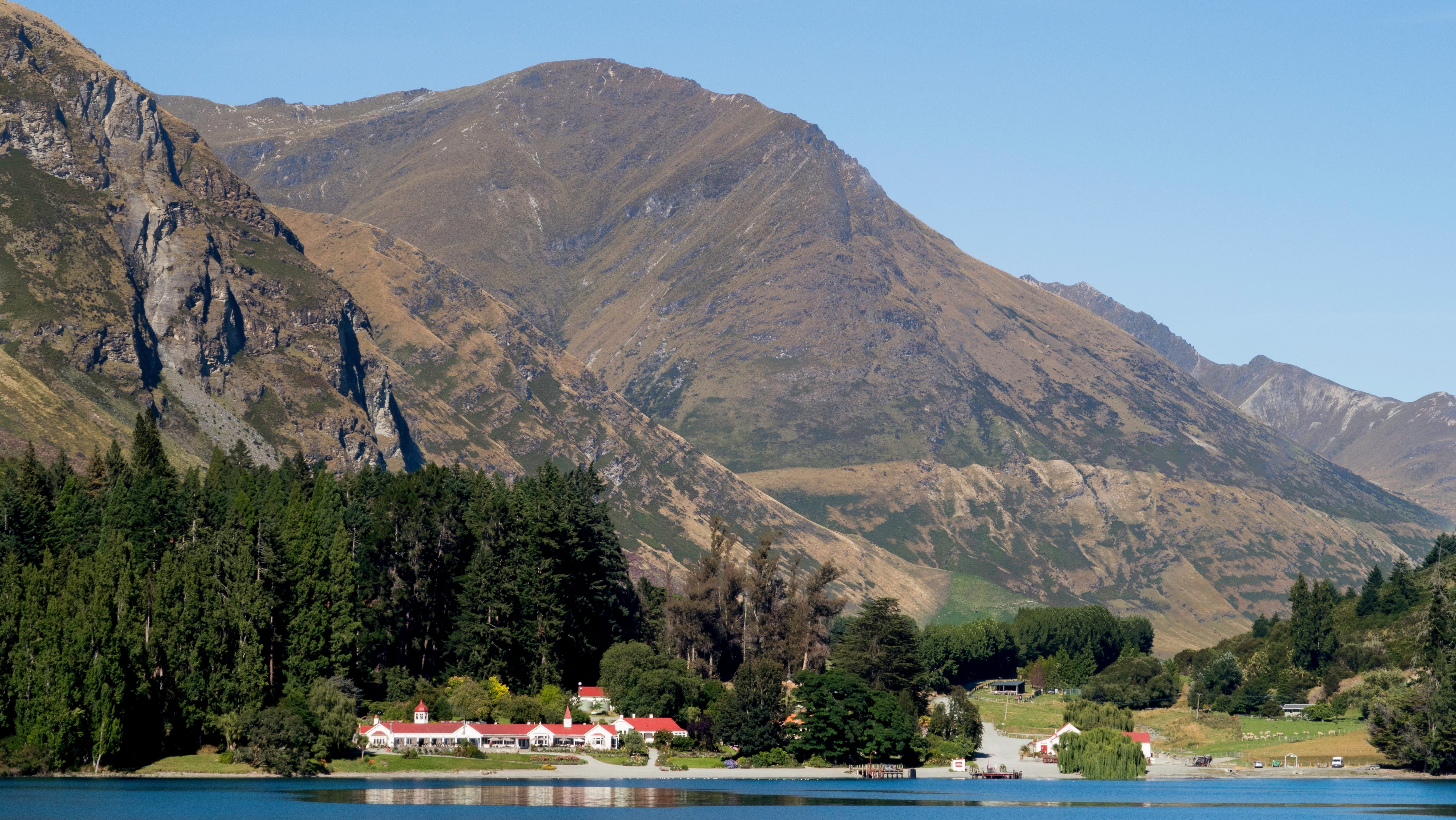 scenic, south island, clear, walter peak farm, plant, mountains, scenics - nature, water, walter peak, travel destinations, lake, waterfront, cruise, mountain range, HD Wallpaper
