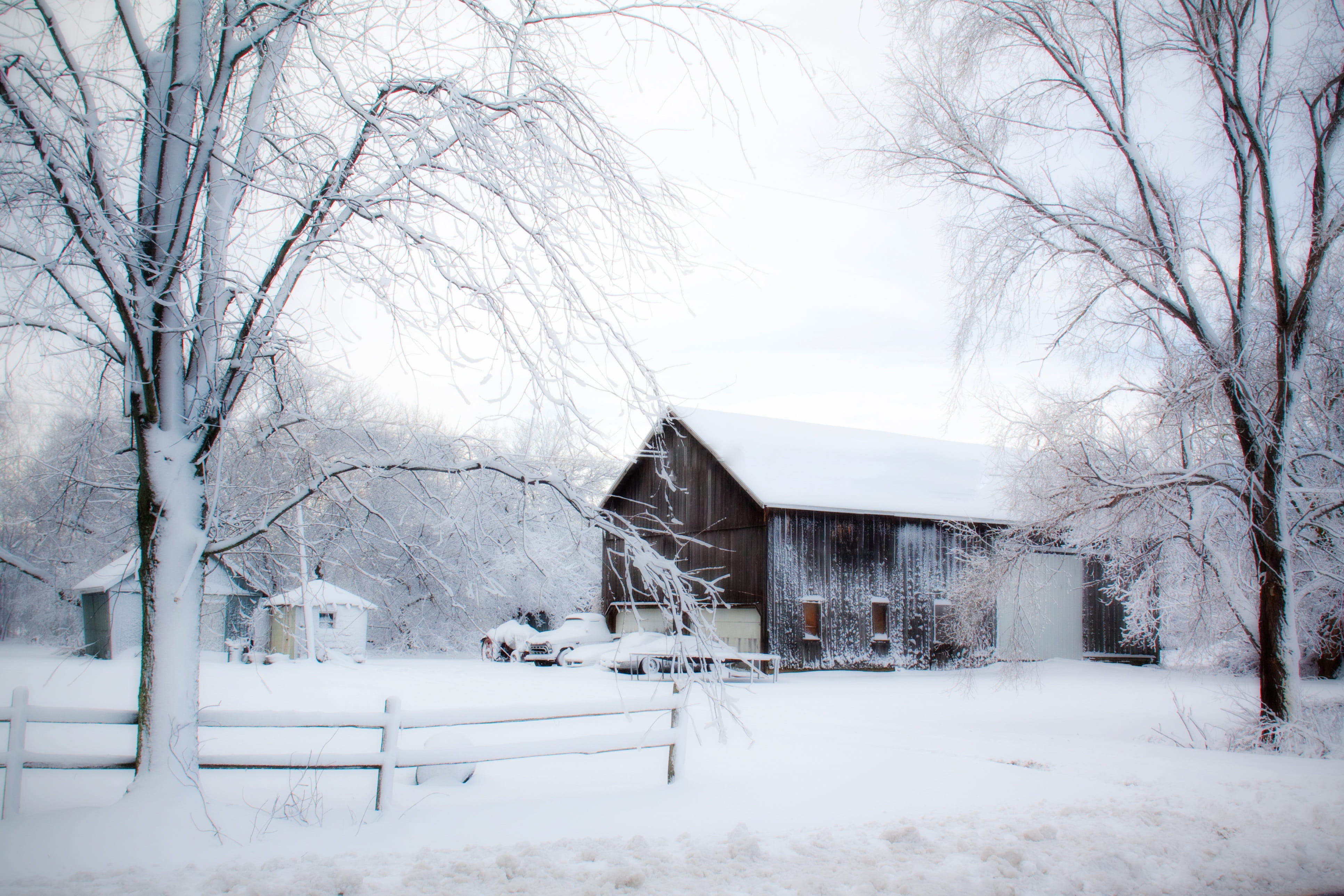 built structure, day, architecture, tree, photo, time, snowing, plant, covered, weather, cottage, no people, residential district, building exterior, bare tree, HD Wallpaper