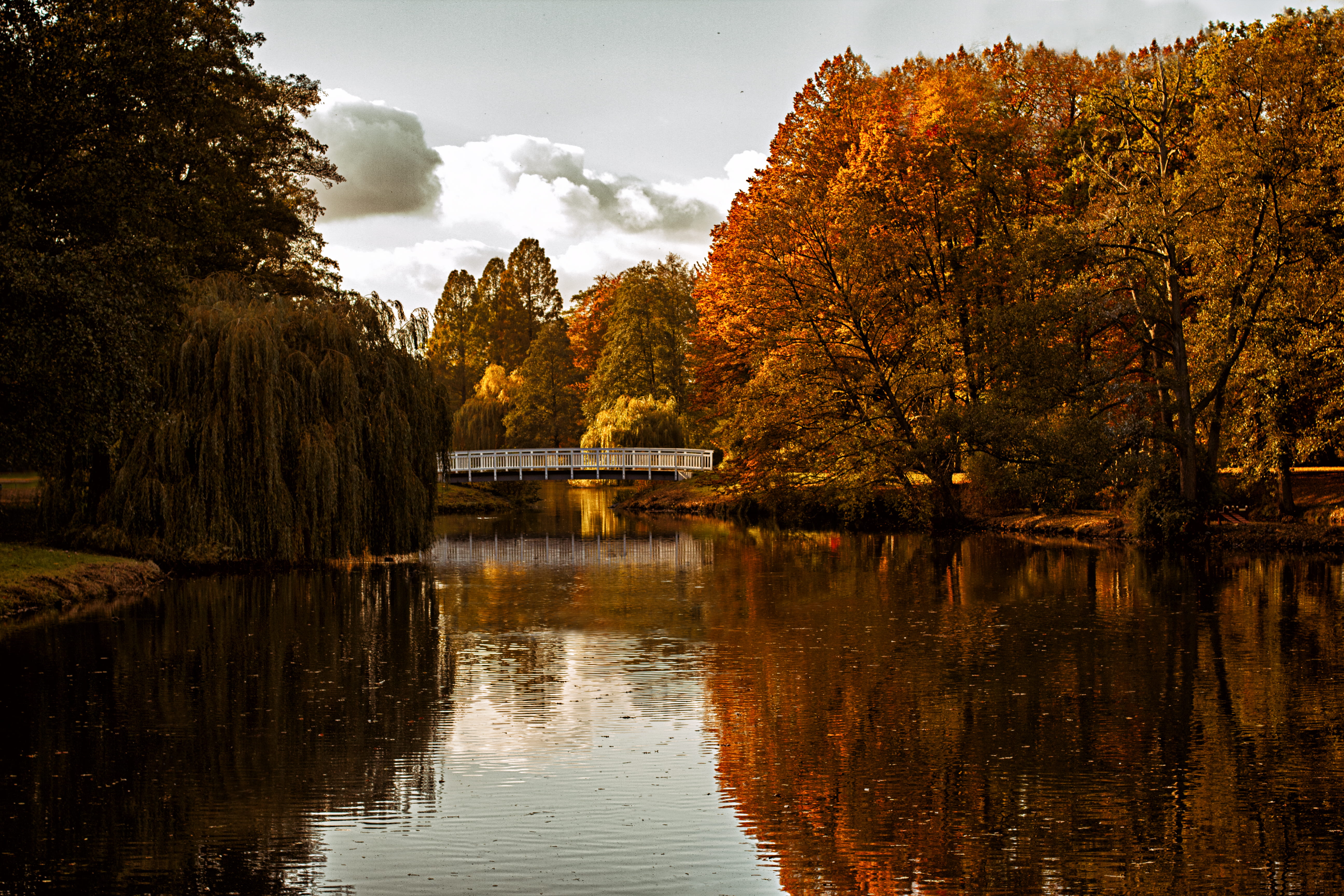 daytime, tranquility, waterfront, nrw, park, nature, photo, change, lost, trees, tree, deutschland, white, river, outdoors, freshretoucher, tranquil scene, HD Wallpaper