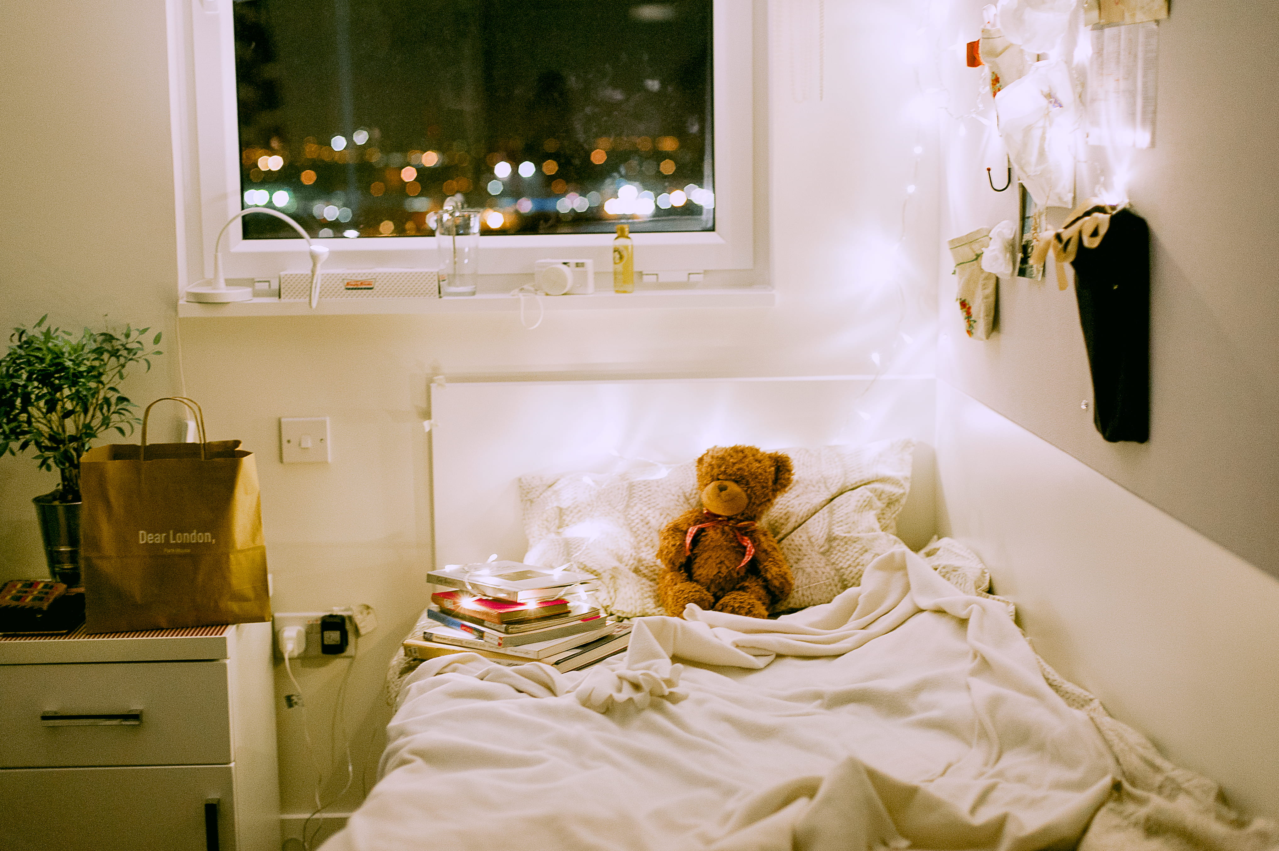 teddy bear, bear, night, nice home, bedroom, celebration, brown, illuminated, transparent, home, teddybear, stuffed toy, plant, childhood, dorm room, teddy, HD Wallpaper