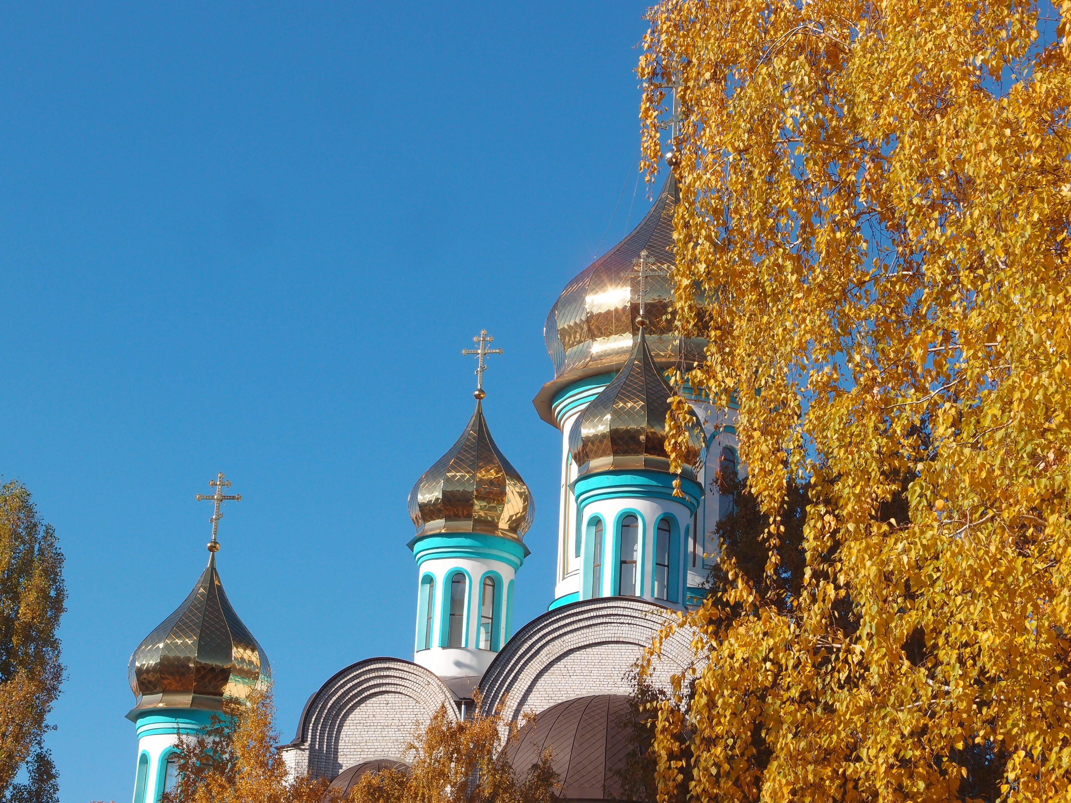 tree, gold colored, plant, birch, good weather, autumn, building, outdoors, religion, building exterior, no people, church, clear sky, blue, yellow, nature, HD Wallpaper
