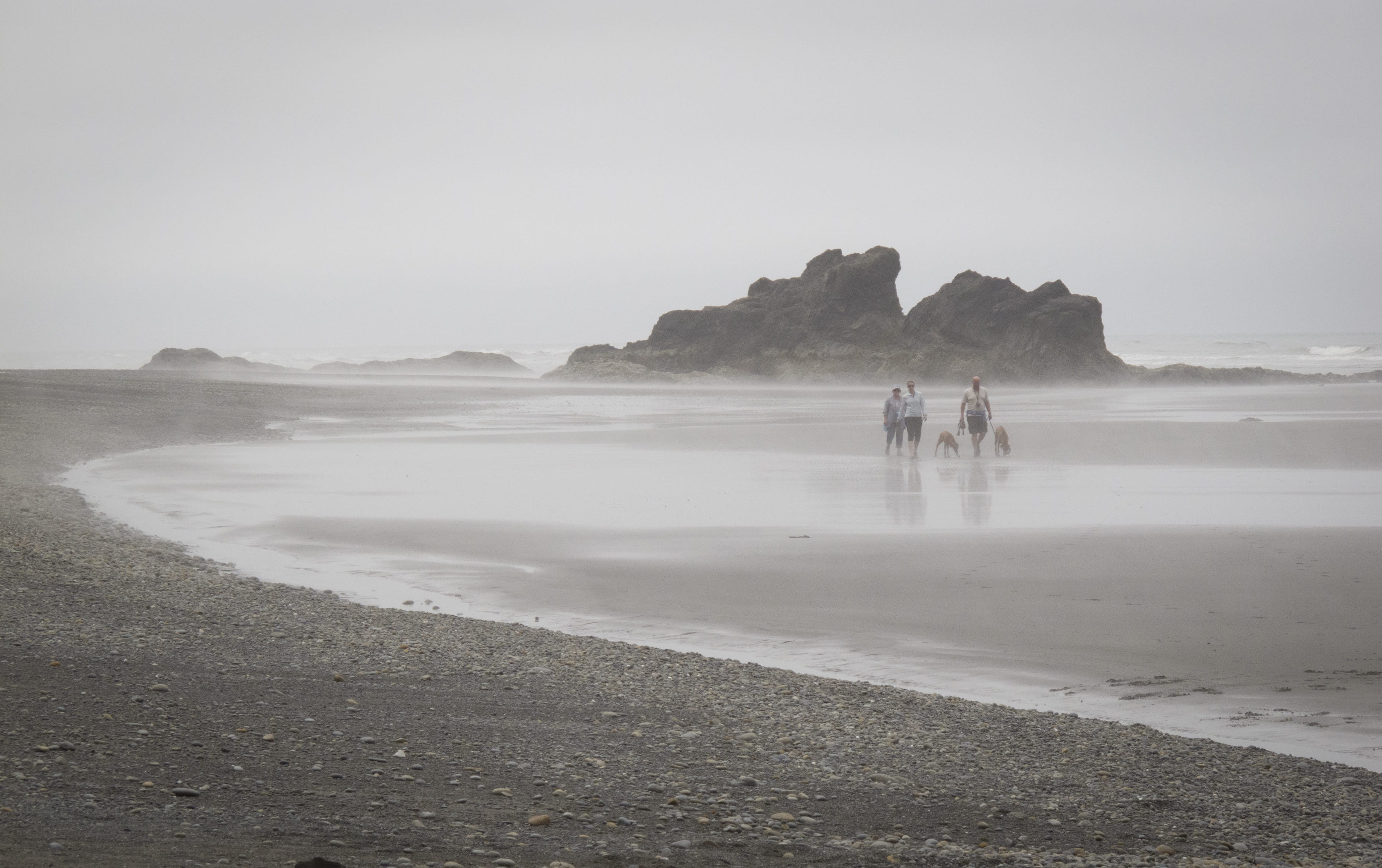 fog, united states, people, scenics - nature, sand, ruby beach, ocean, day, land, non-urban scene, tranquility, copy space, beach, nature, real people, HD Wallpaper