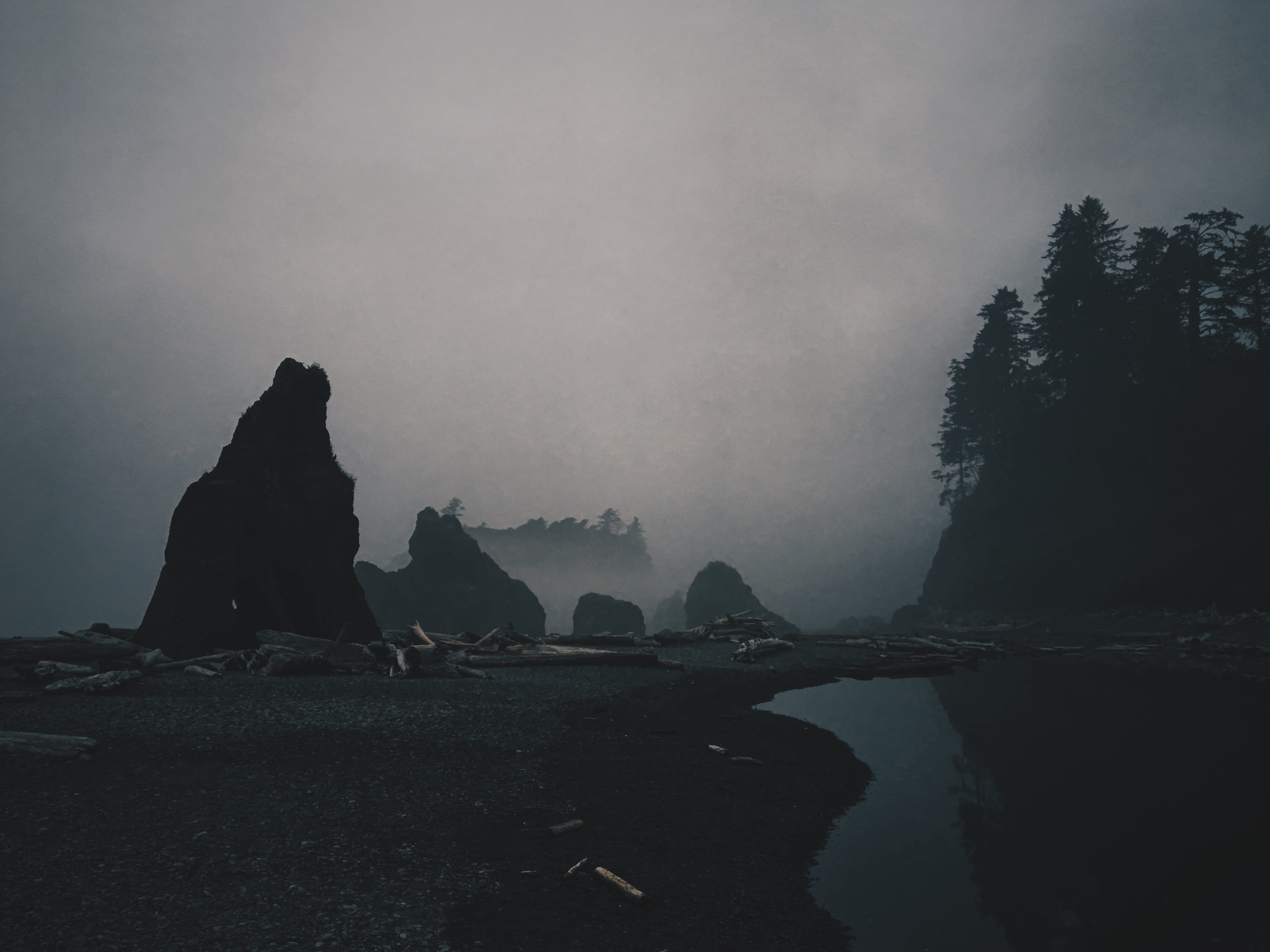 rock formation, beauty in nature, mist, tranquil scene, 4K, united states, no people, mystery, fog, scenics - nature, coast, driftwood, outdoors, dark, HD Wallpaper