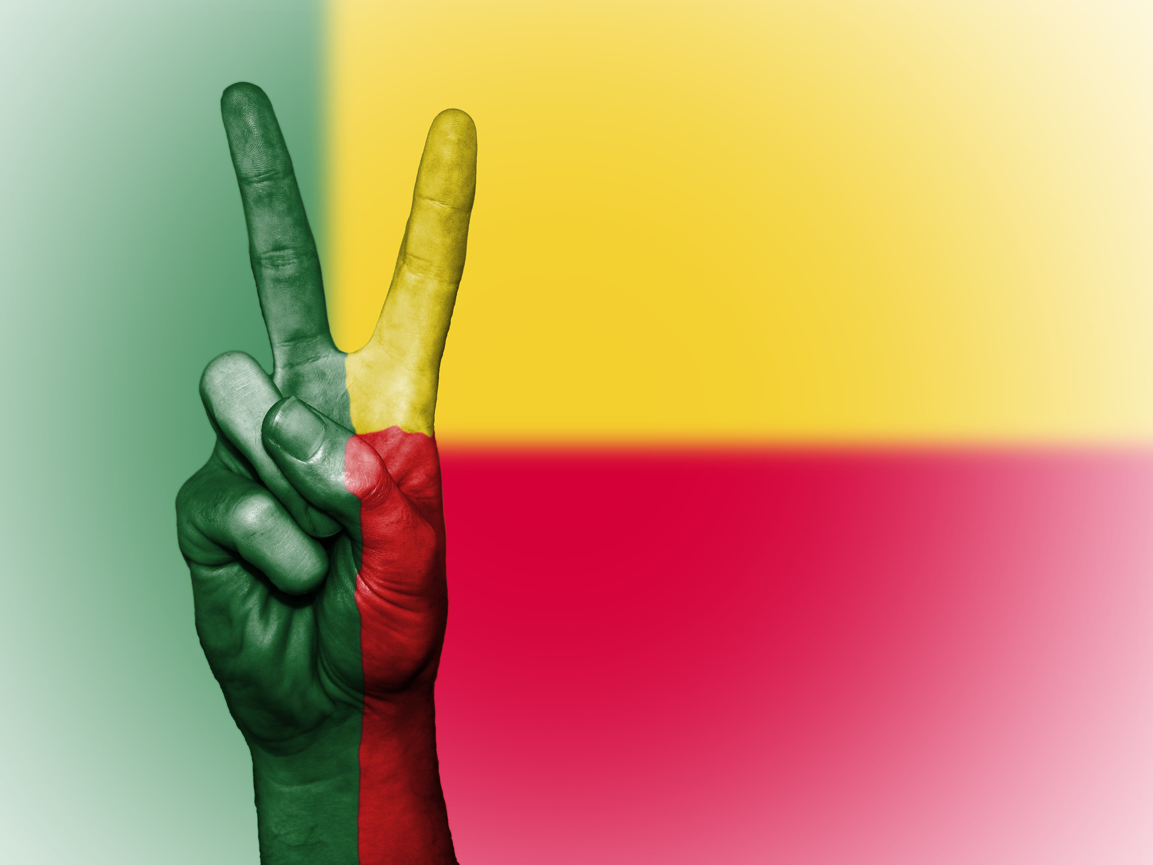 state, close-up, people, human body part, human hand, banner, palm, holding, travel, symbol, art and craft, green color, multi colored, red, creativity, HD Wallpaper