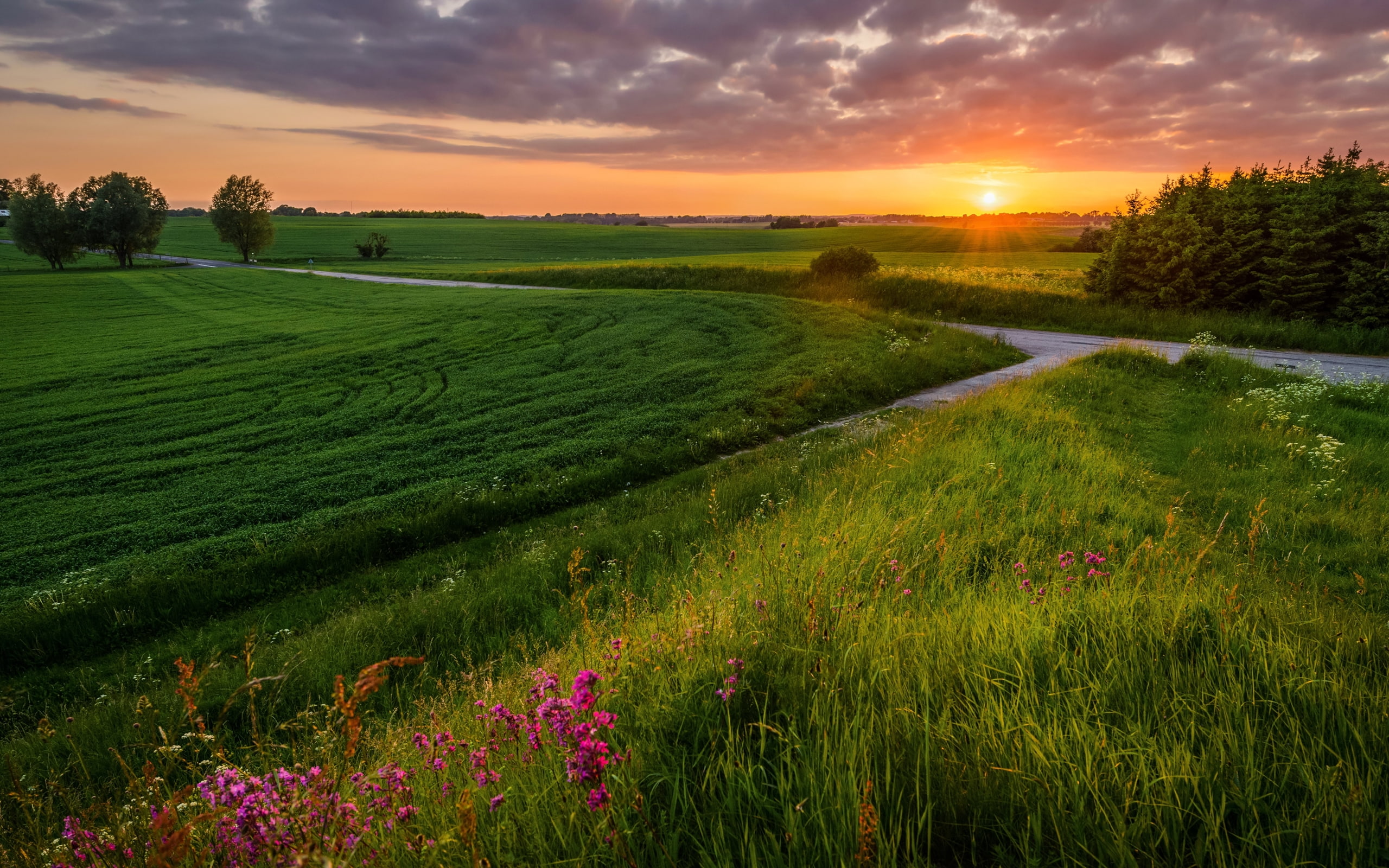 roskilde, mound, sunset, denmark, town, far, old, 2K, lies, home, HD Wallpaper