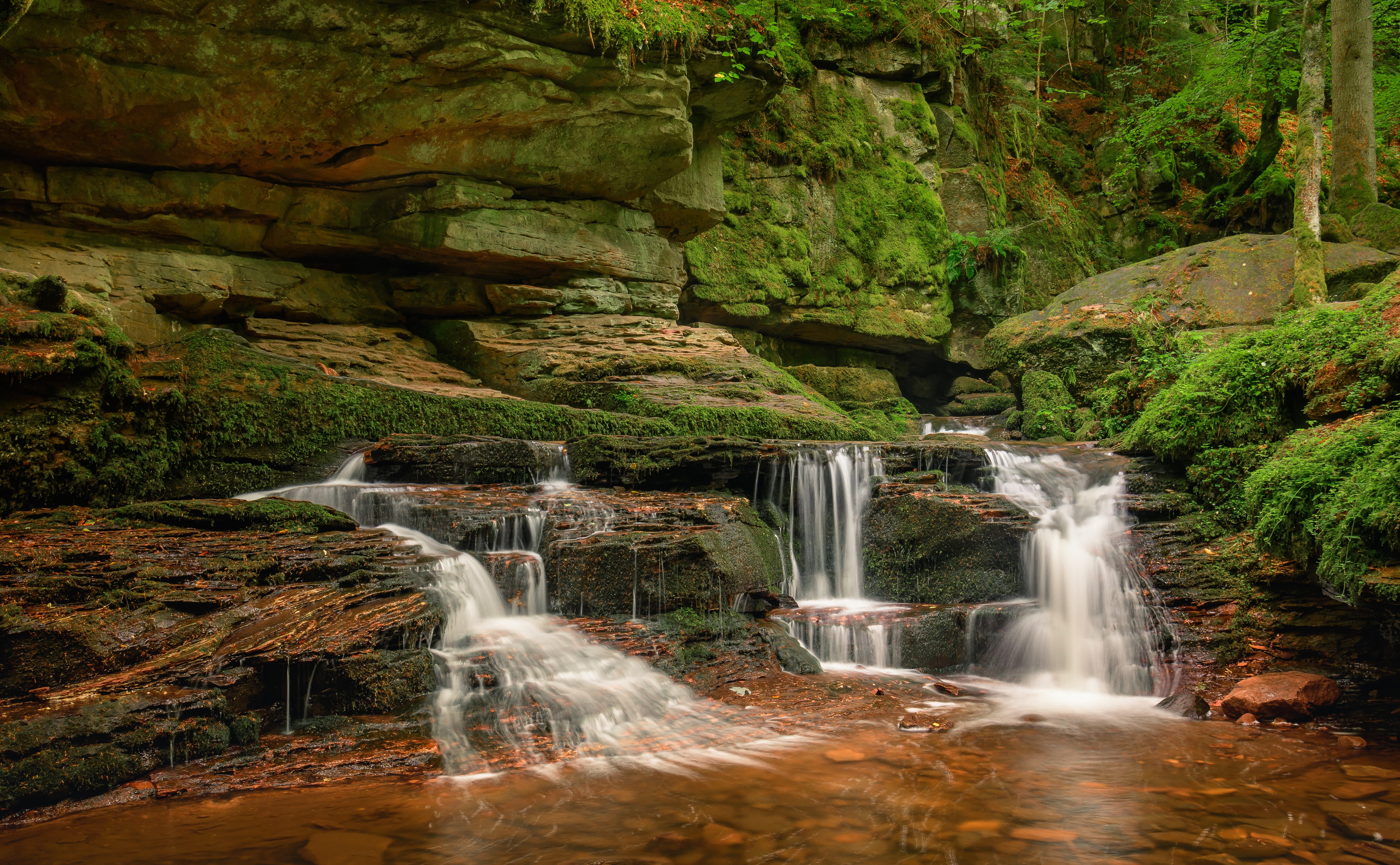 Monbach Creek, Monbach Valley, Valley Manbah, 5K, moss, Baden-Wurttemberg, Germany, cascade, River Manbah, waterfall, Black Forest, stones, The black forest, HD Wallpaper
