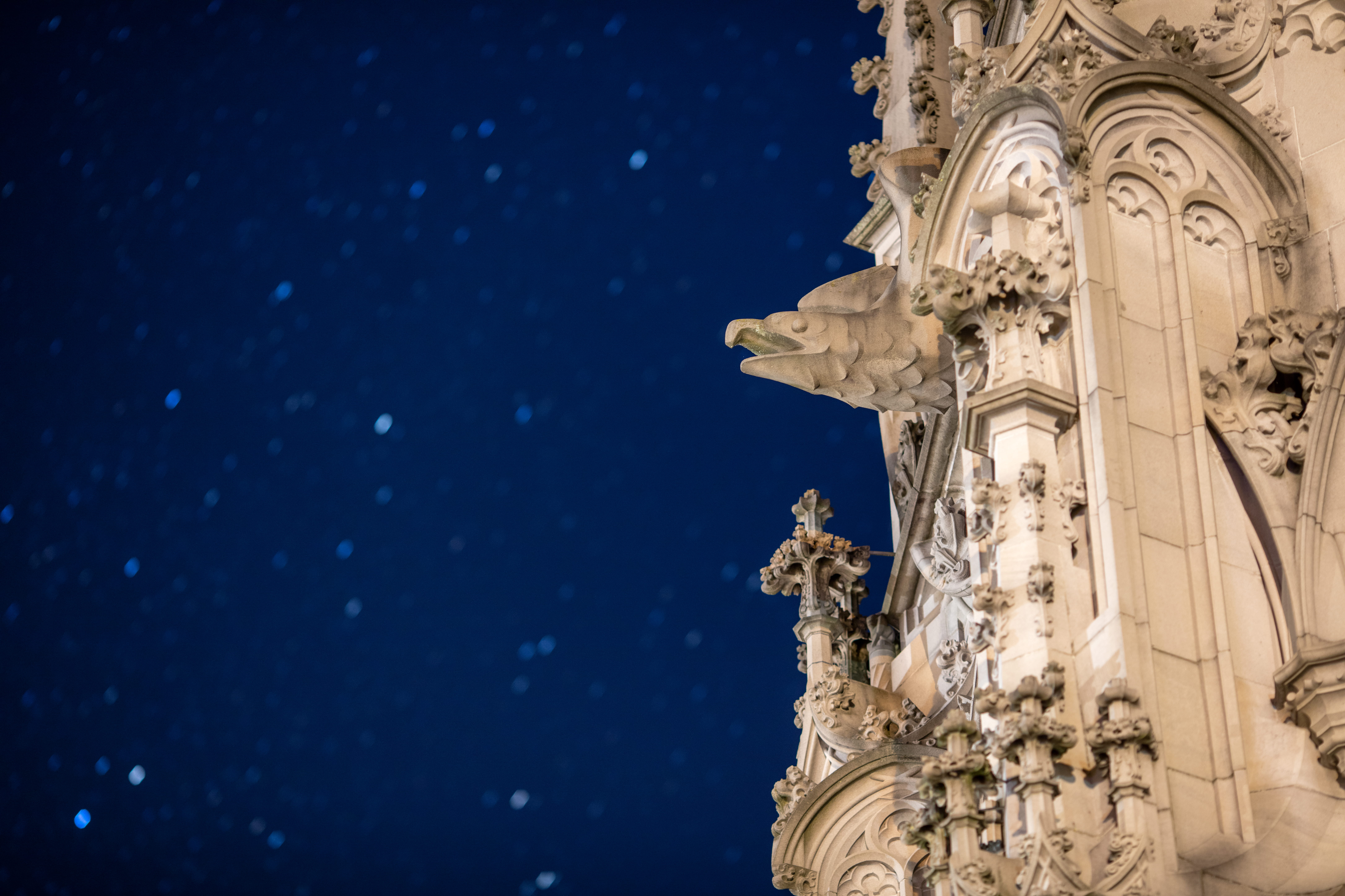 water, low angle view, sky, building exterior, nature, craft, male likeness, no people, statue, konstanz, the past, germany, architecture, gargoyle night  starry sky, HD Wallpaper