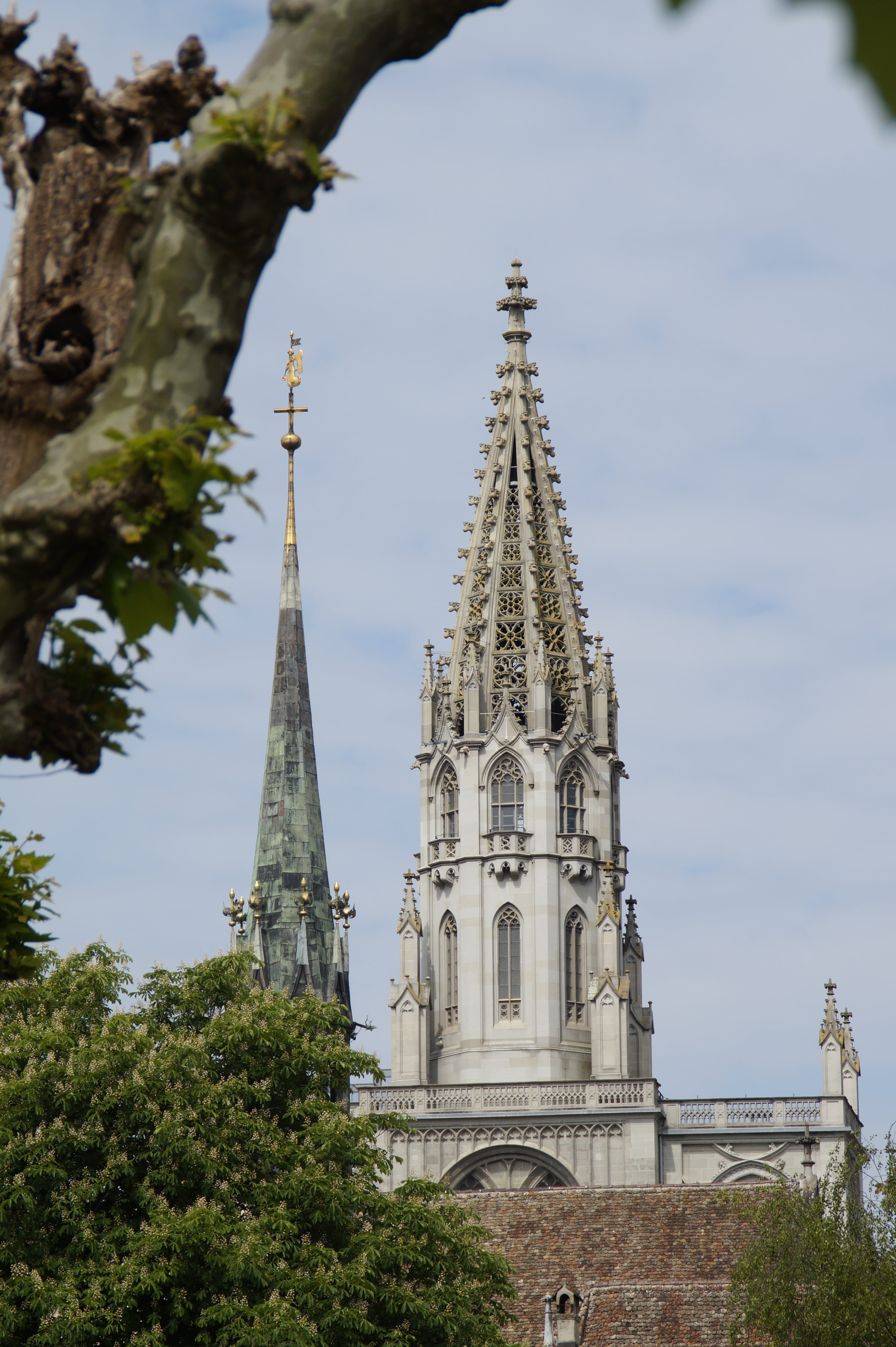 tree, place of worship, architecture, constance, münster, building, sky, spire, steeple, church, spirituality, christianity, belief, no people, low angle view, Phone HD Wallpaper