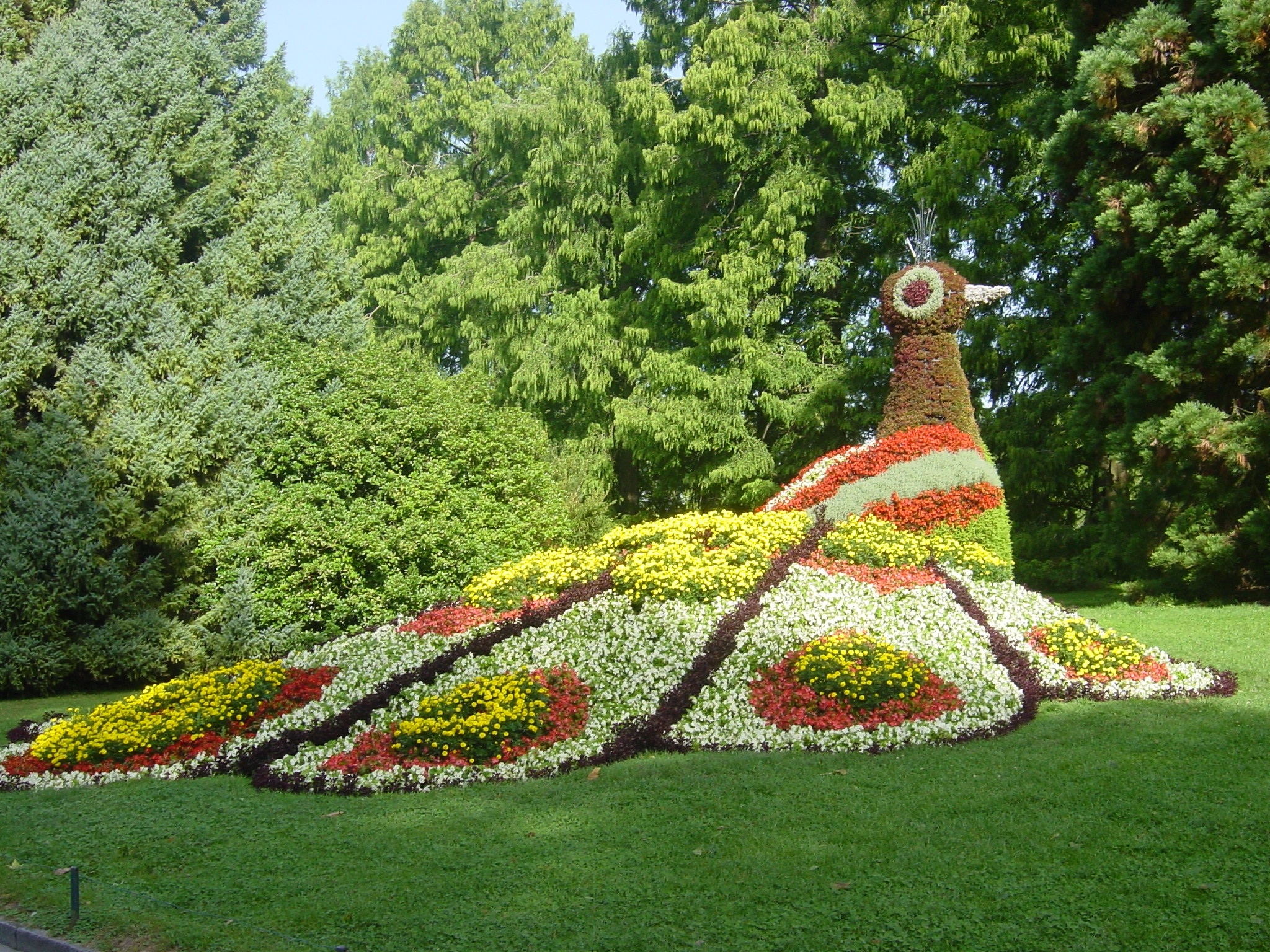 formal garden, growth, day, no people, grass, decoration, green color, island of flowers, park, outdoors, mainau, tranquility, creativity, nature, flower, HD Wallpaper