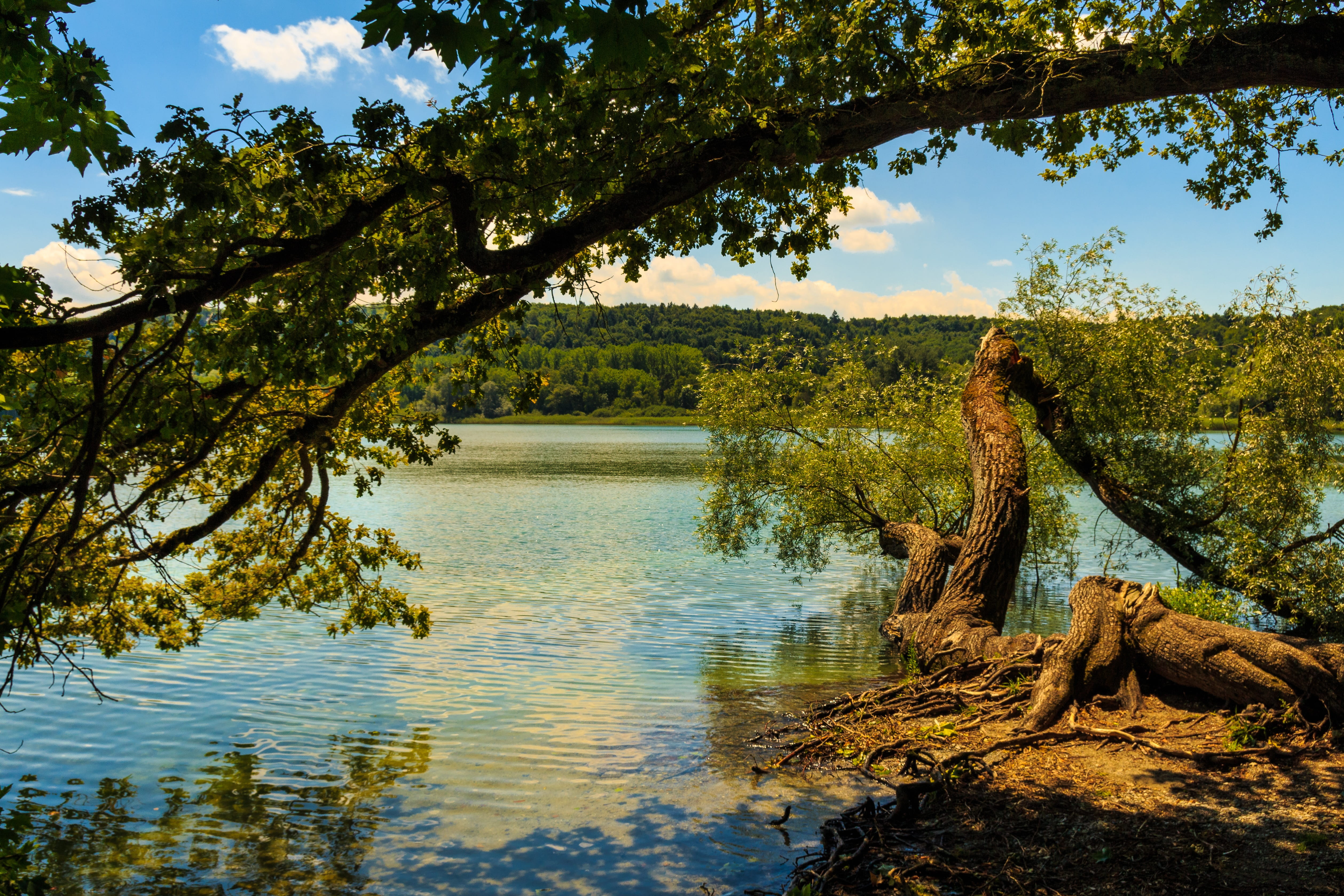 view, sky, water, landscape, blue, wood, tranquil scene, cloud - sky, outdoors, outlook, reflection, beauty in nature, tree, day, tranquility, trunk, mainau island, HD Wallpaper