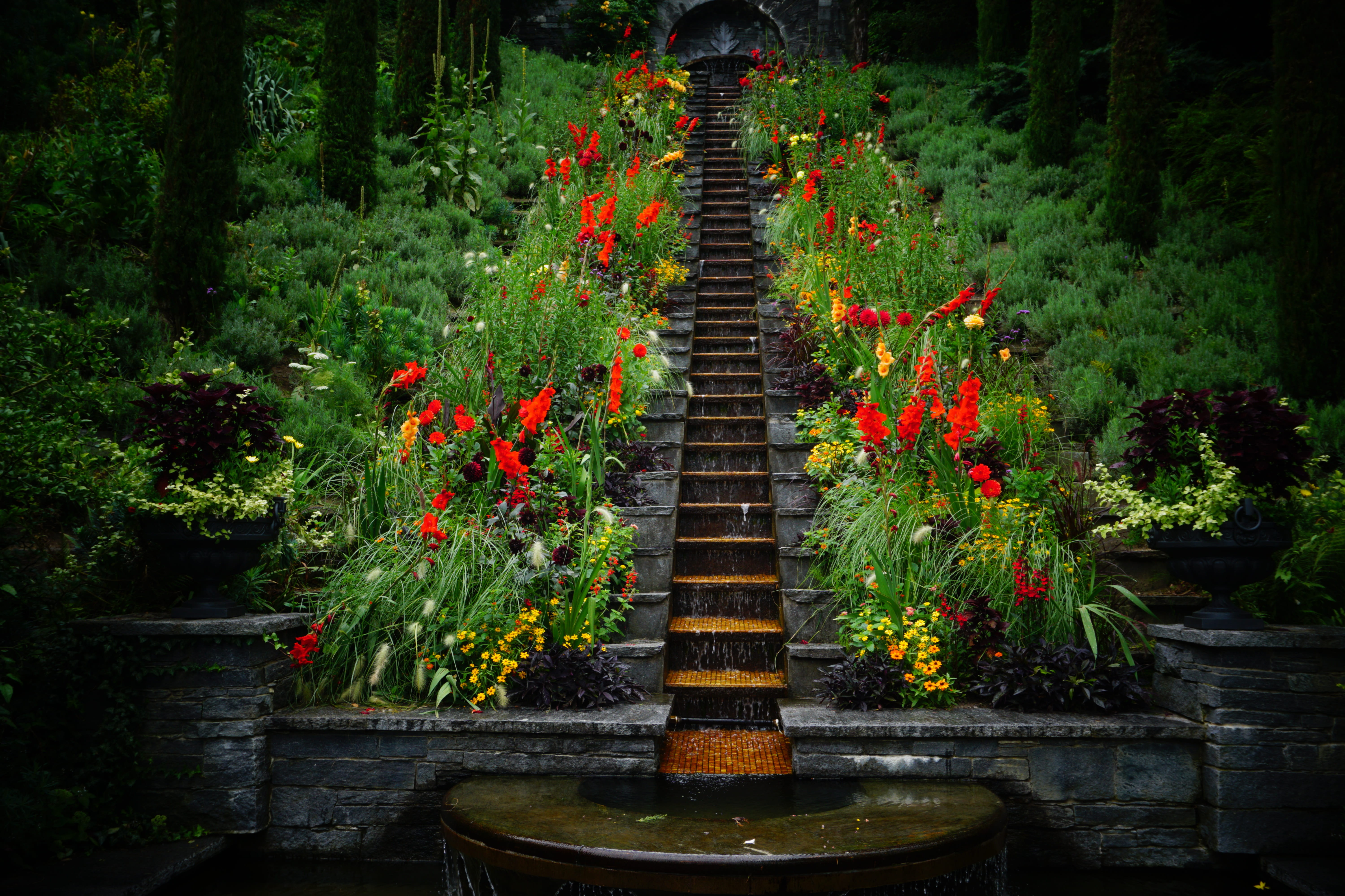 environment, scenics - nature, mainau island, planted, day, architecture, tranquility, growth, 5K, water, potted plant, nature, outdoors, flowerbed, lake constance, HD Wallpaper