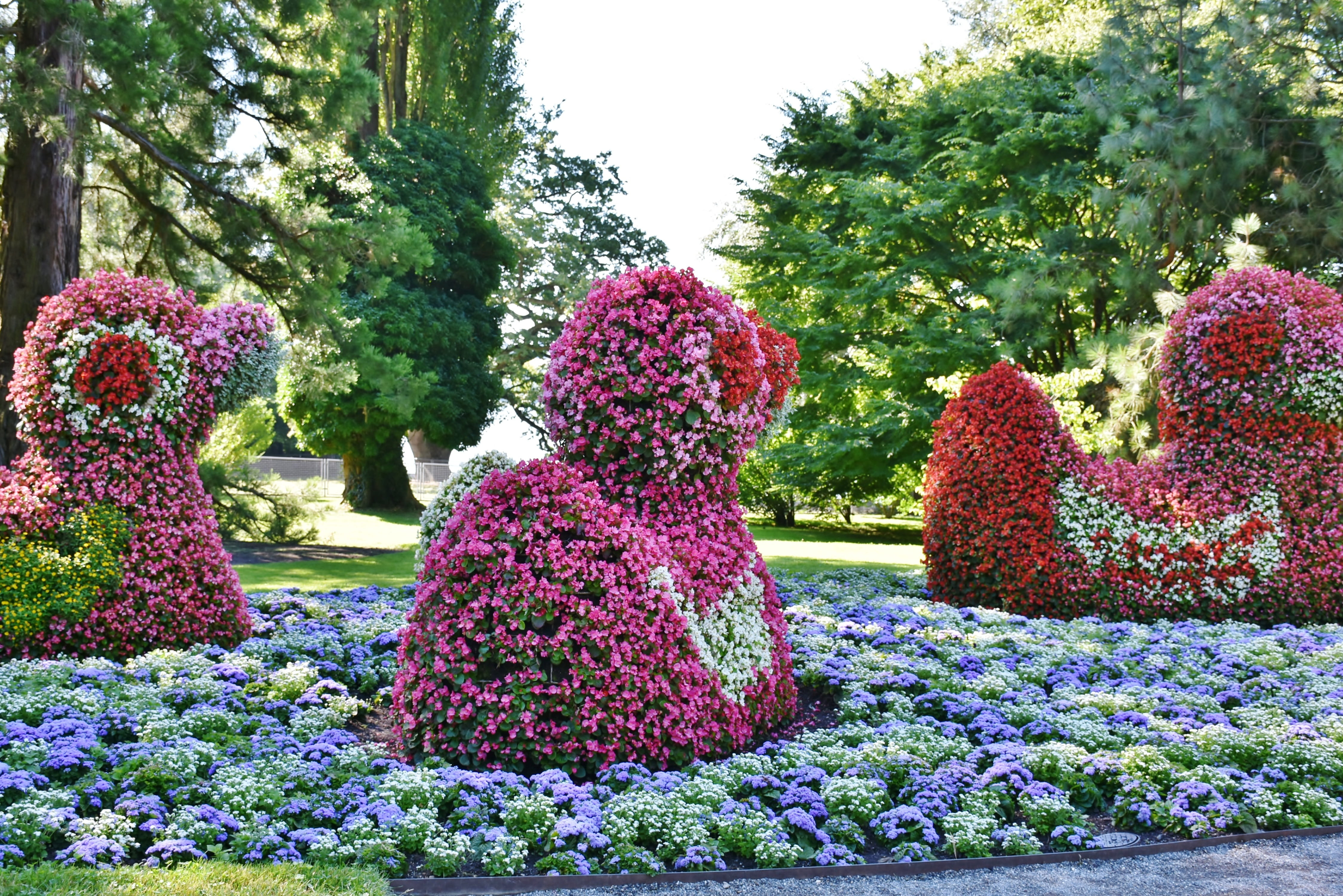 bloom, park - man made space, summer, blooming, representation, Flowers, colorful flowers, Floral, tree, 4K, floral decorations, flowerbed, human representation, HD Wallpaper