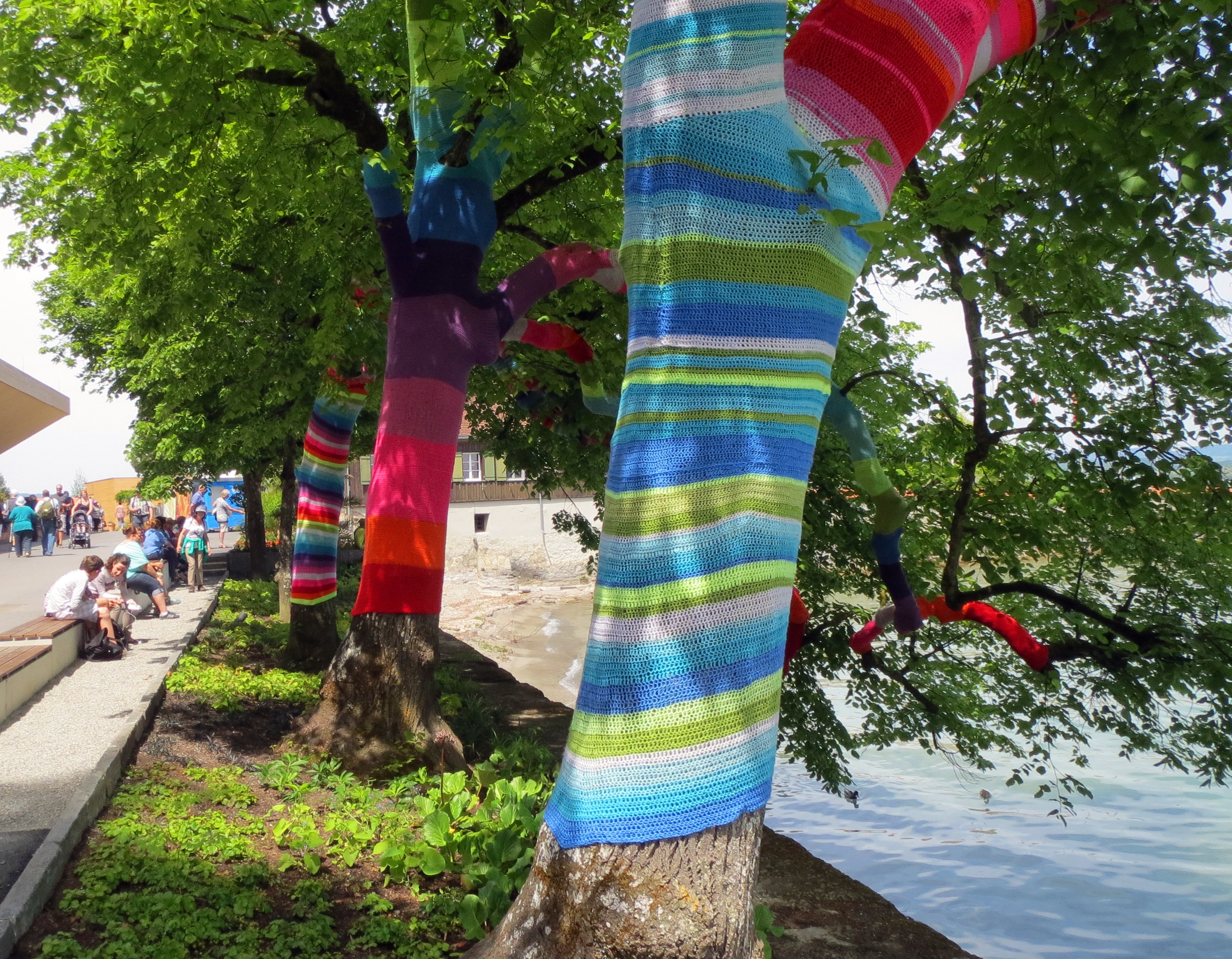 mainau, park, wool, multi colored, decoration, women, water, hanging, people, men, sweater, art, growth, group of people, colorful, lake constance, nature, HD Wallpaper