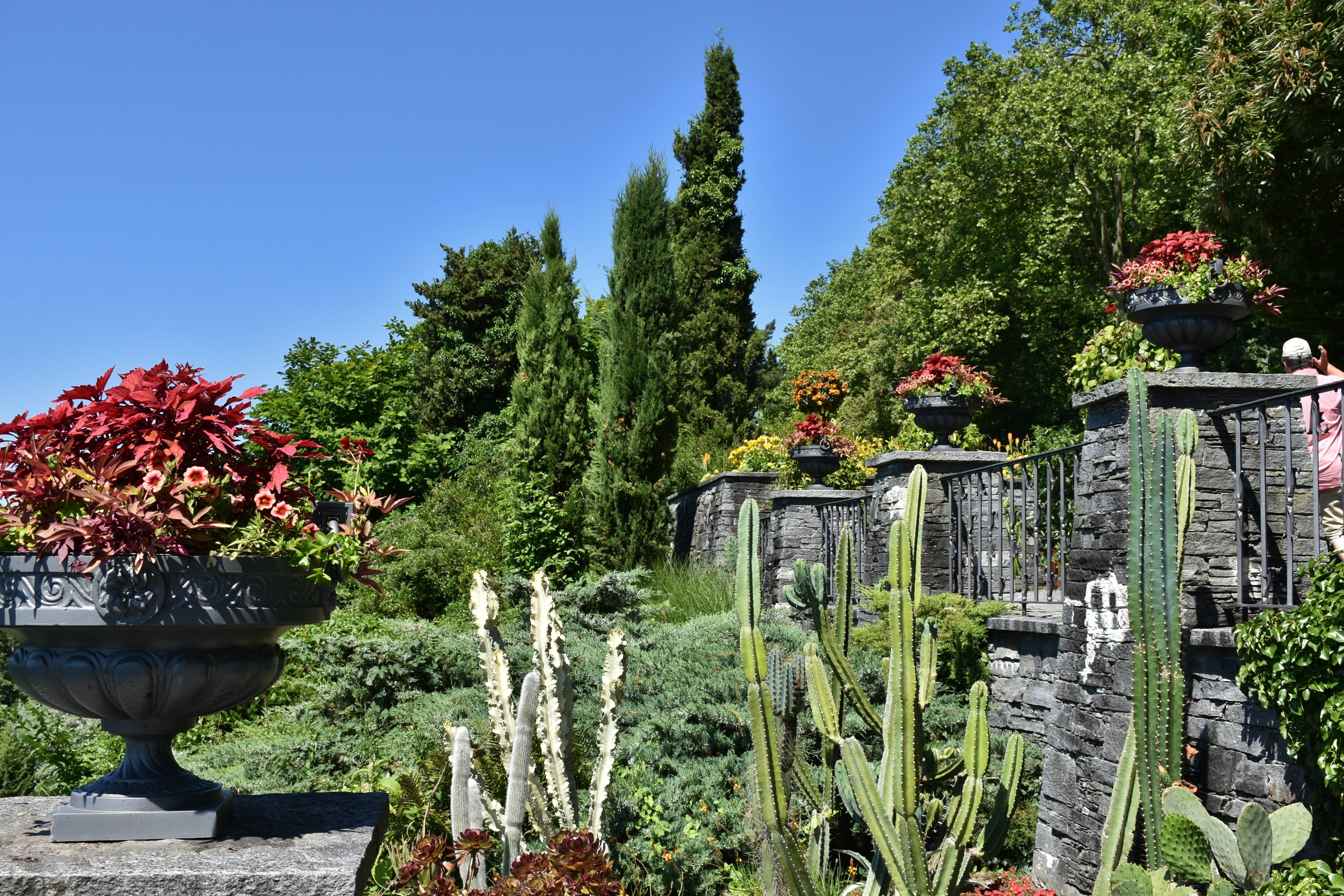 outdoors, growth, panorama, flowers, water feature, summer, view, flower, planting, tree, flowering plant, lush foliage, nature, mainau, green color, day, HD Wallpaper
