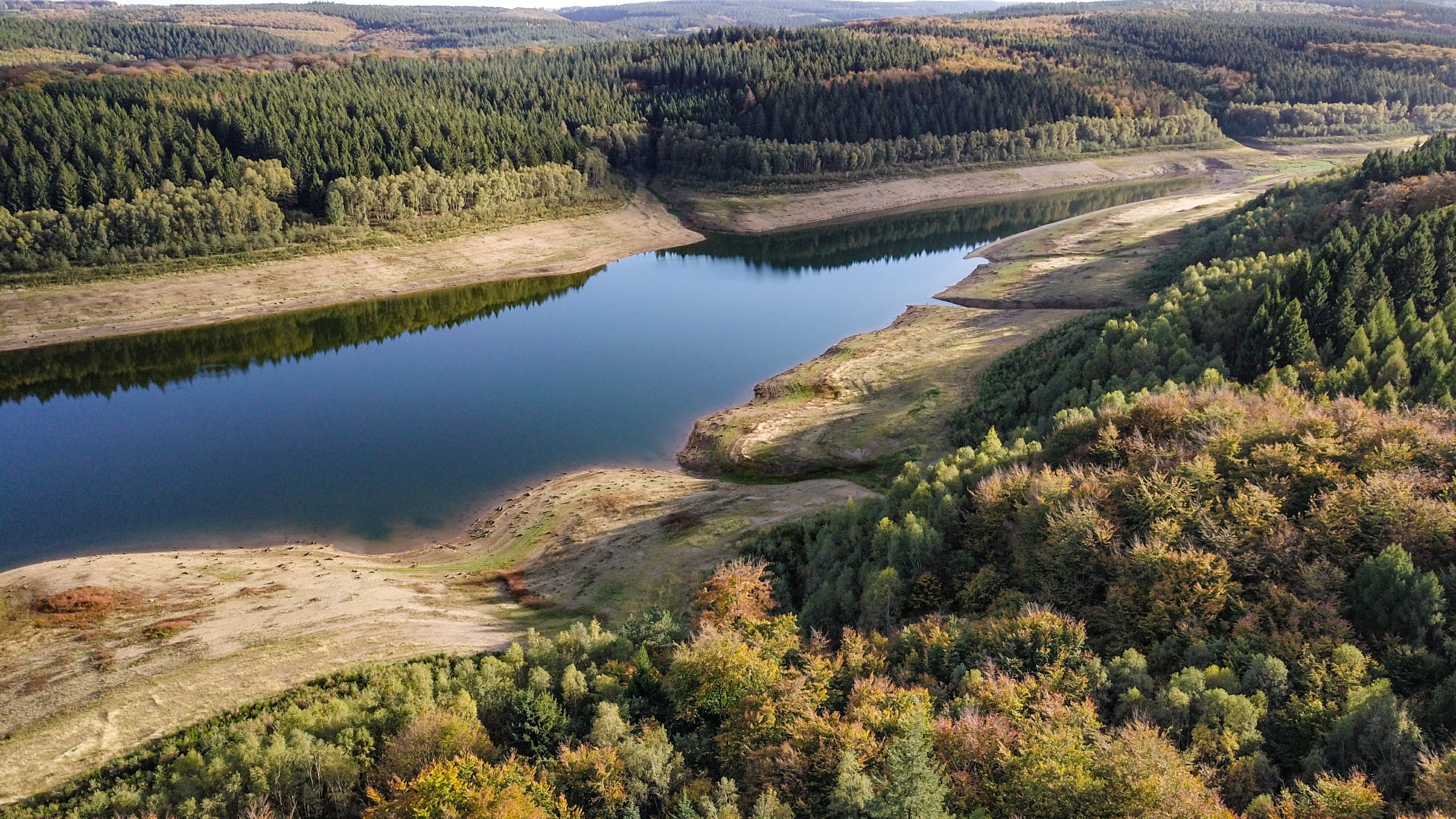 river, biome, pine woodland, forest, land, nature, wilderness, national park, water, landscape, coniferous tree, high angle view, aerial photography, tree, HD Wallpaper