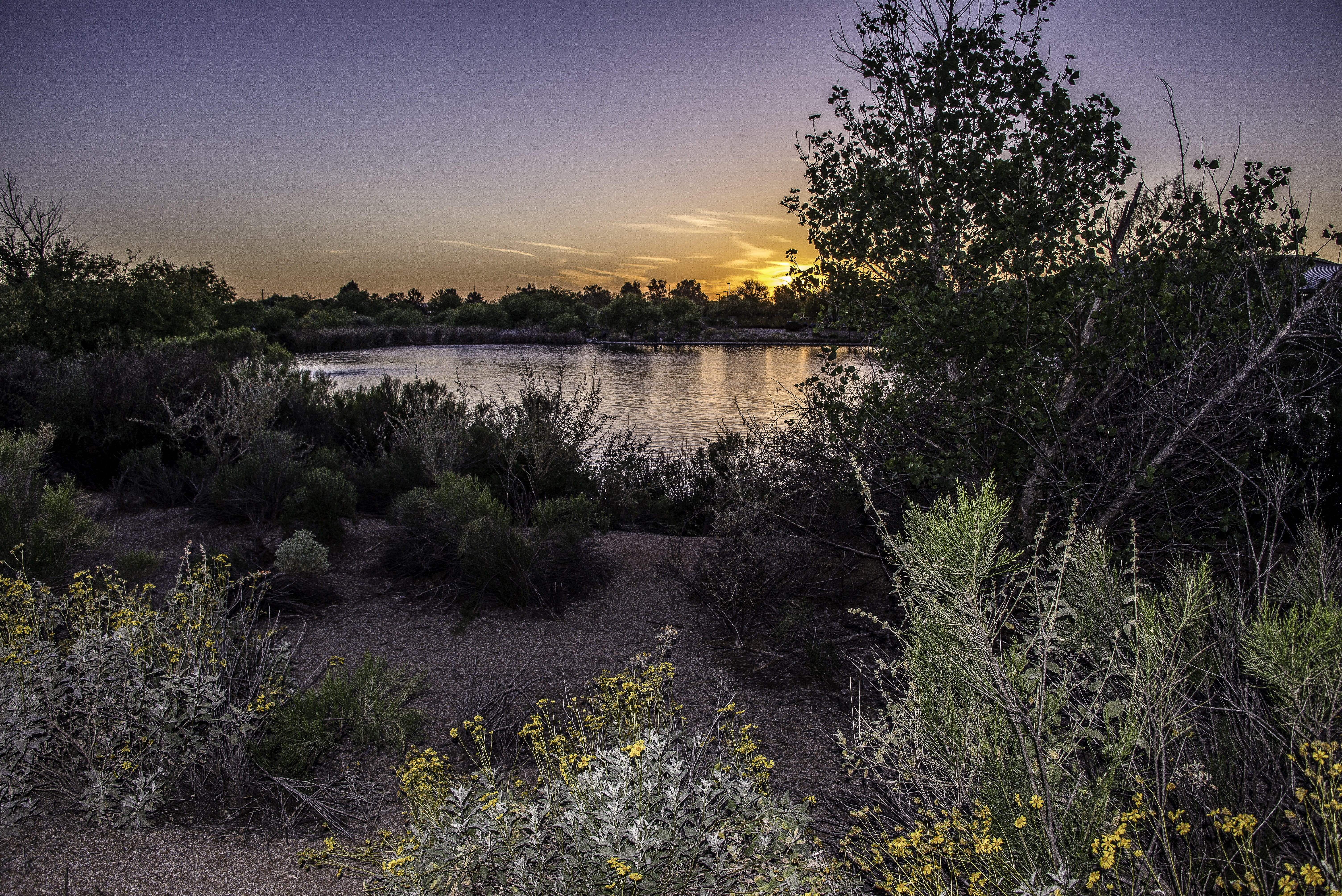 scenics, verde, reflection, Riparian, tree, idyllic, hiking, plant, beauty In Nature, glibert, non-urban scene, path, lake, natural, water, sunset, growth, HD Wallpaper