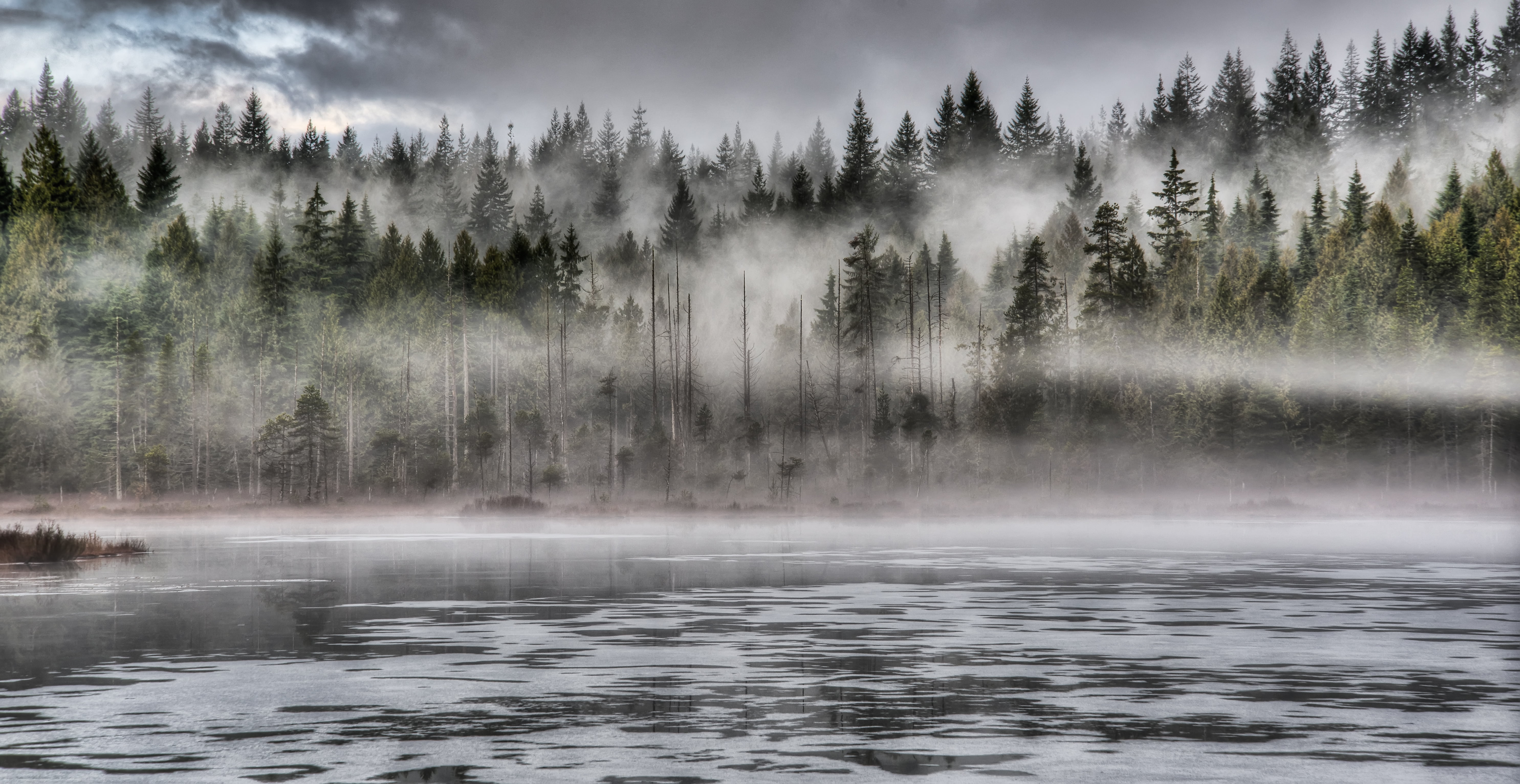 Lakeside, Forest, Canada, Majestic, Tourism, beauty In Nature, Wood, Scenery, Solitude, Pine, Travel, Quiet, Nobody, Serenity, Countryside, Weather, Overcast, HD Wallpaper