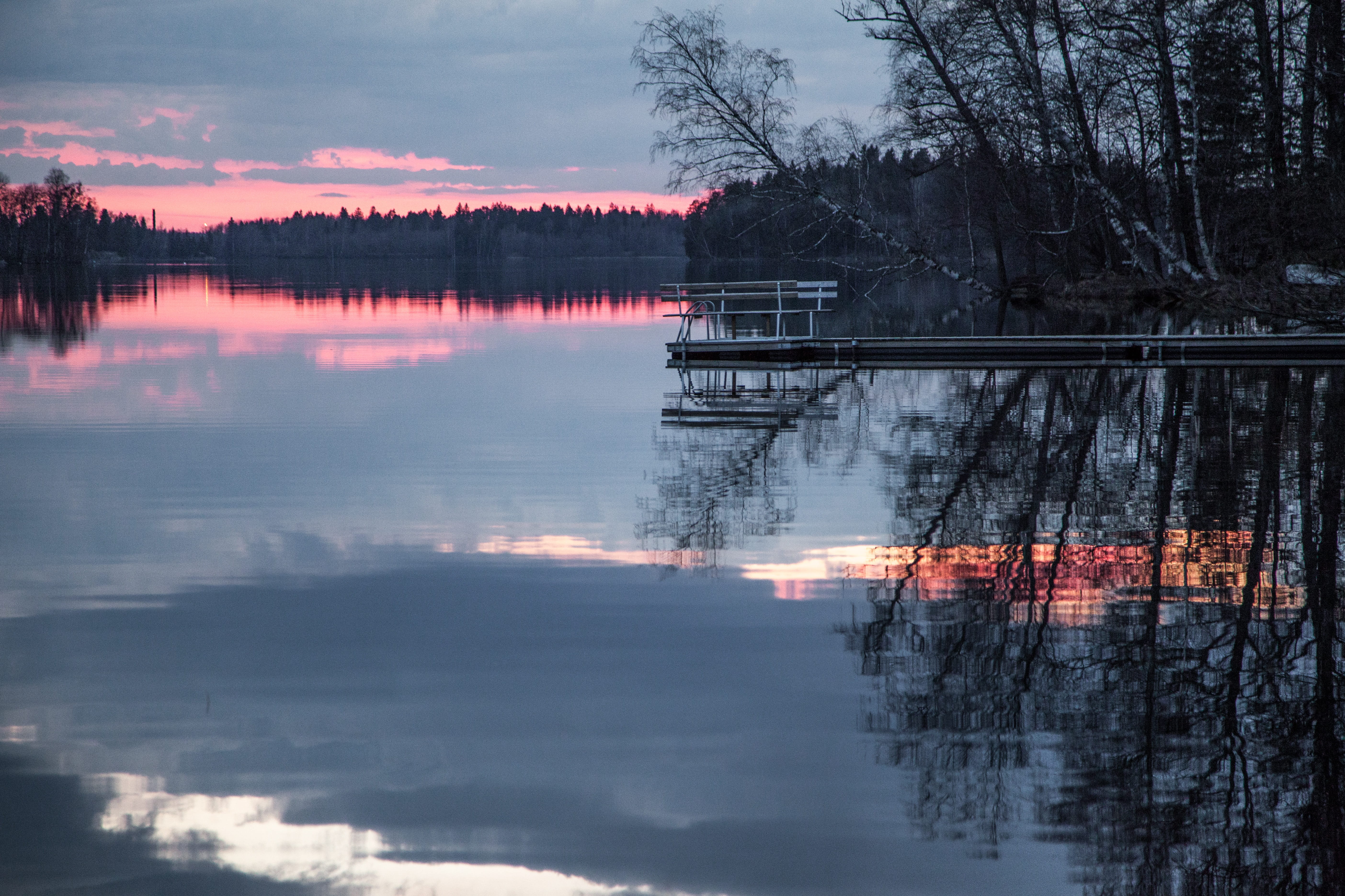 scenics, surrounded, forest, nature, night, blue, dark, finland, architecture, body of water, scenery, outdoors, 5K, no people, beauty In Nature, nature landscape, HD Wallpaper