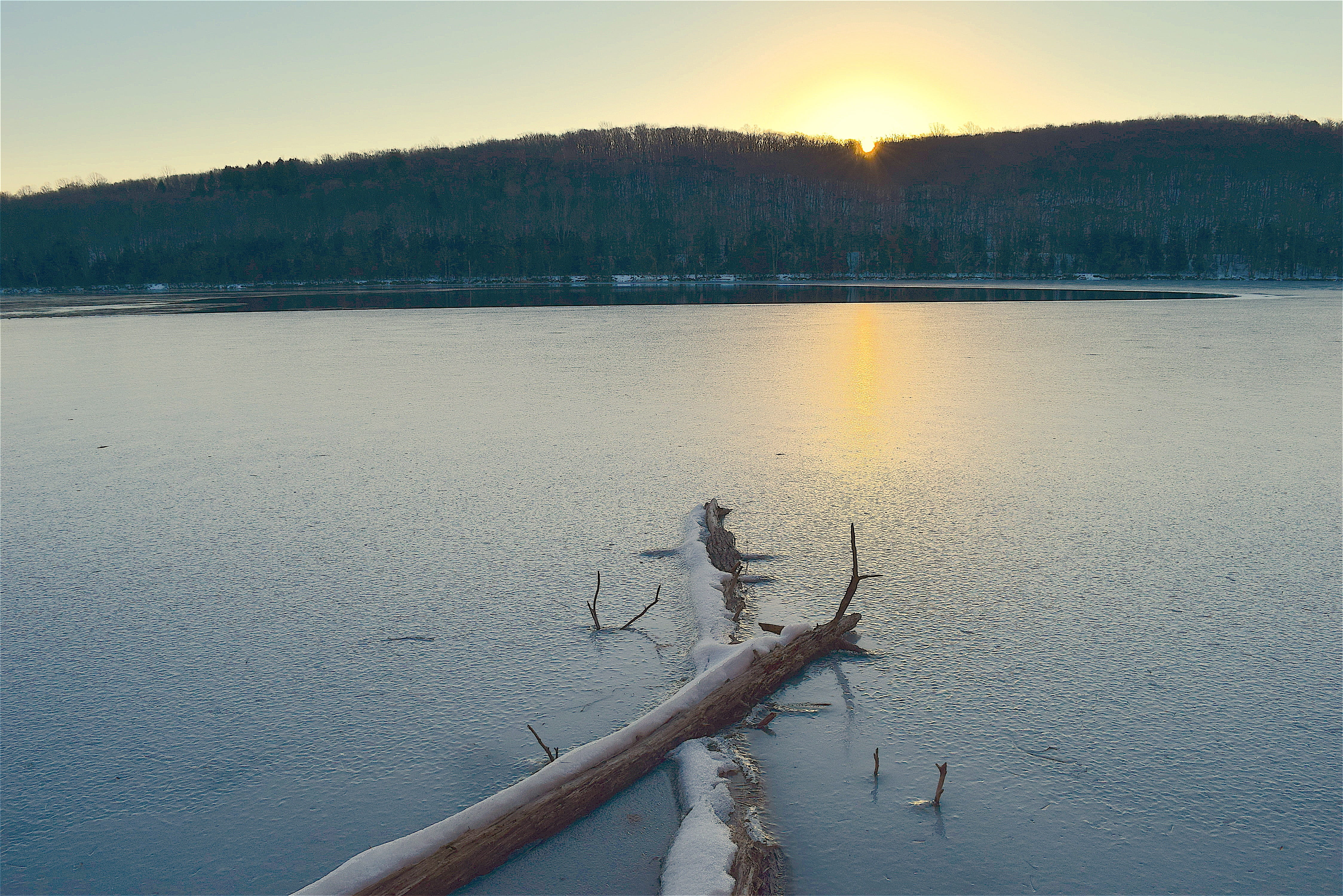 scenic, sun, non-urban scene, Cold, landscape, sunrise, forest, wood, trunk, dead plant, beauty in nature, branch, water, Frozen, sunset, tree trunk, covered, HD Wallpaper