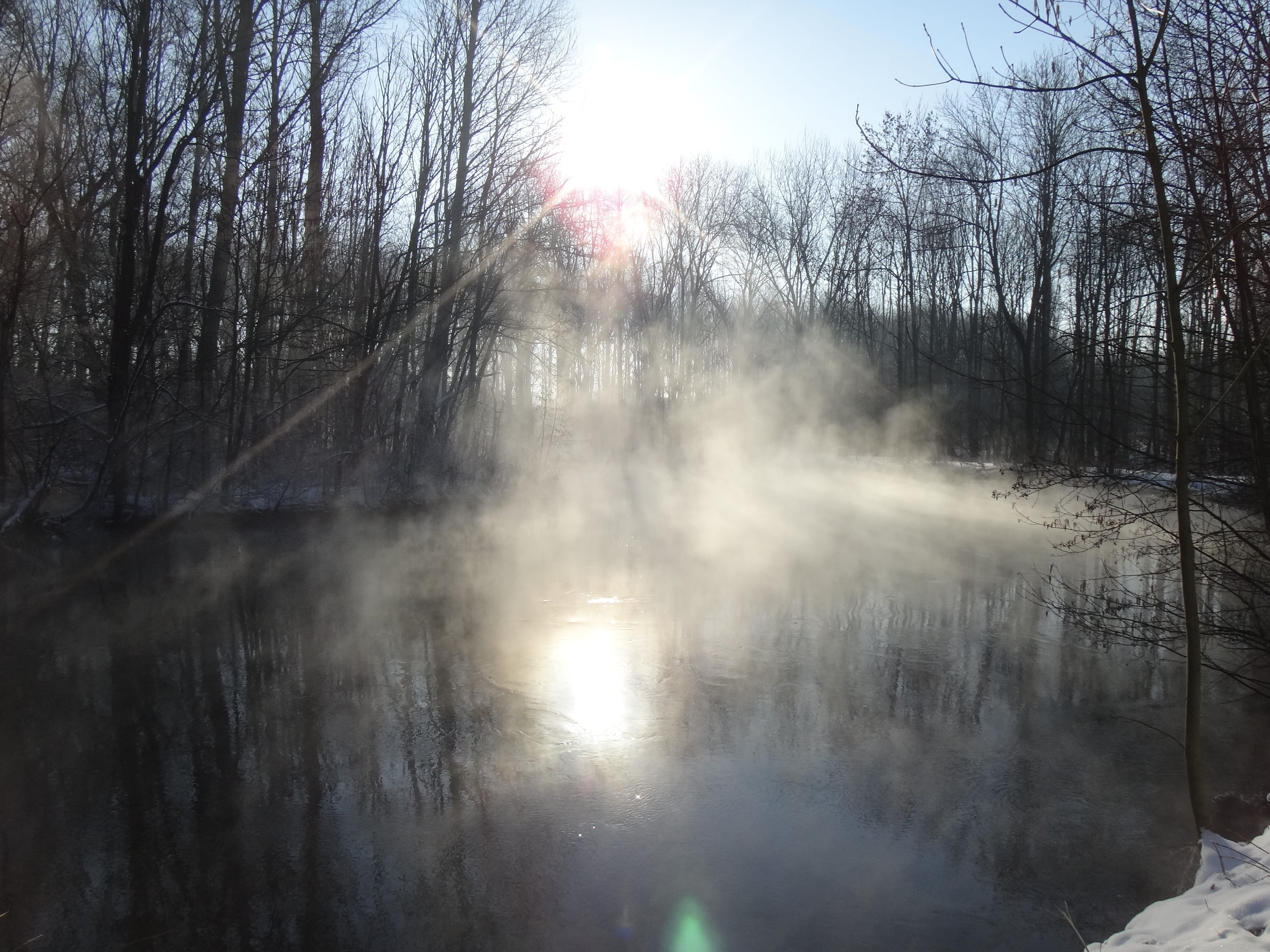 bare tree, river, flowing water, outdoors, ice, lens flare, waters, day, plant, reflection, land, fog, sun, non-urban scene, steamy water, bright, no people, HD Wallpaper
