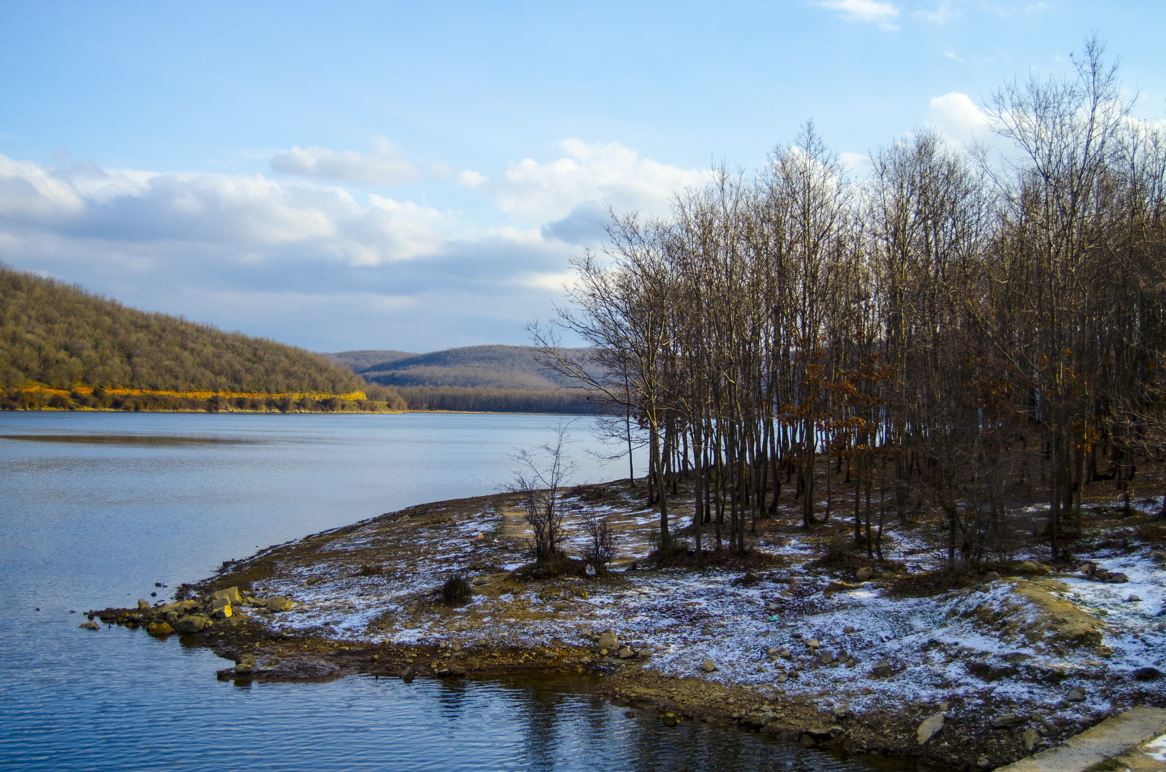 lake, idyllic, forest, scenics, waterfront, beauty In Nature, outdoors, trees, Winter, Tree, bodies Of Water, nature, swamp, sky, scenics - nature, 4K, HD Wallpaper