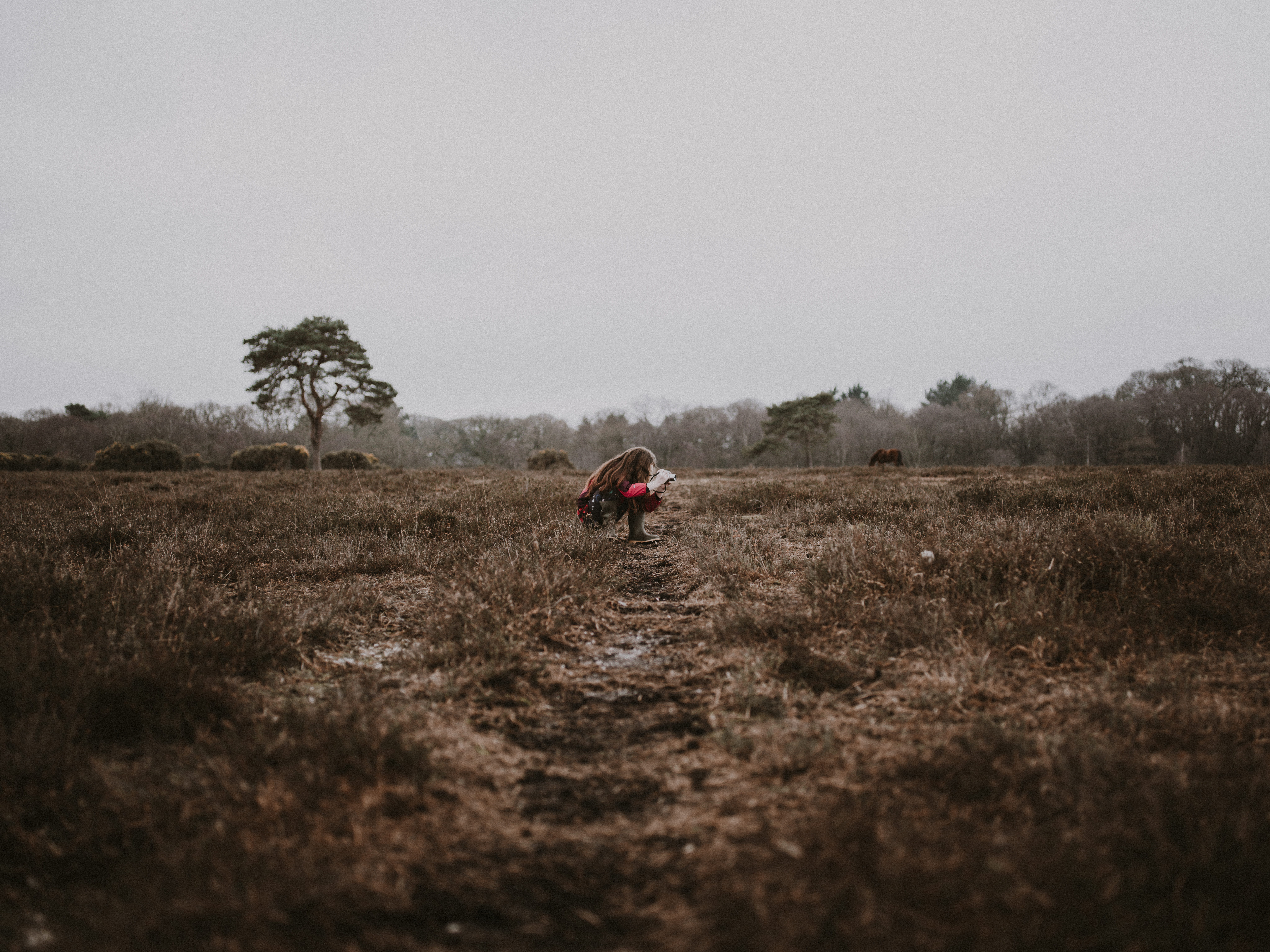 soil, sitting, farmer, tree, beauty in nature, human, mammal, savanna, outdoors, woman, wilderness, plant, cow, gravel, landscape, animal, dirt road, 8K, HD Wallpaper