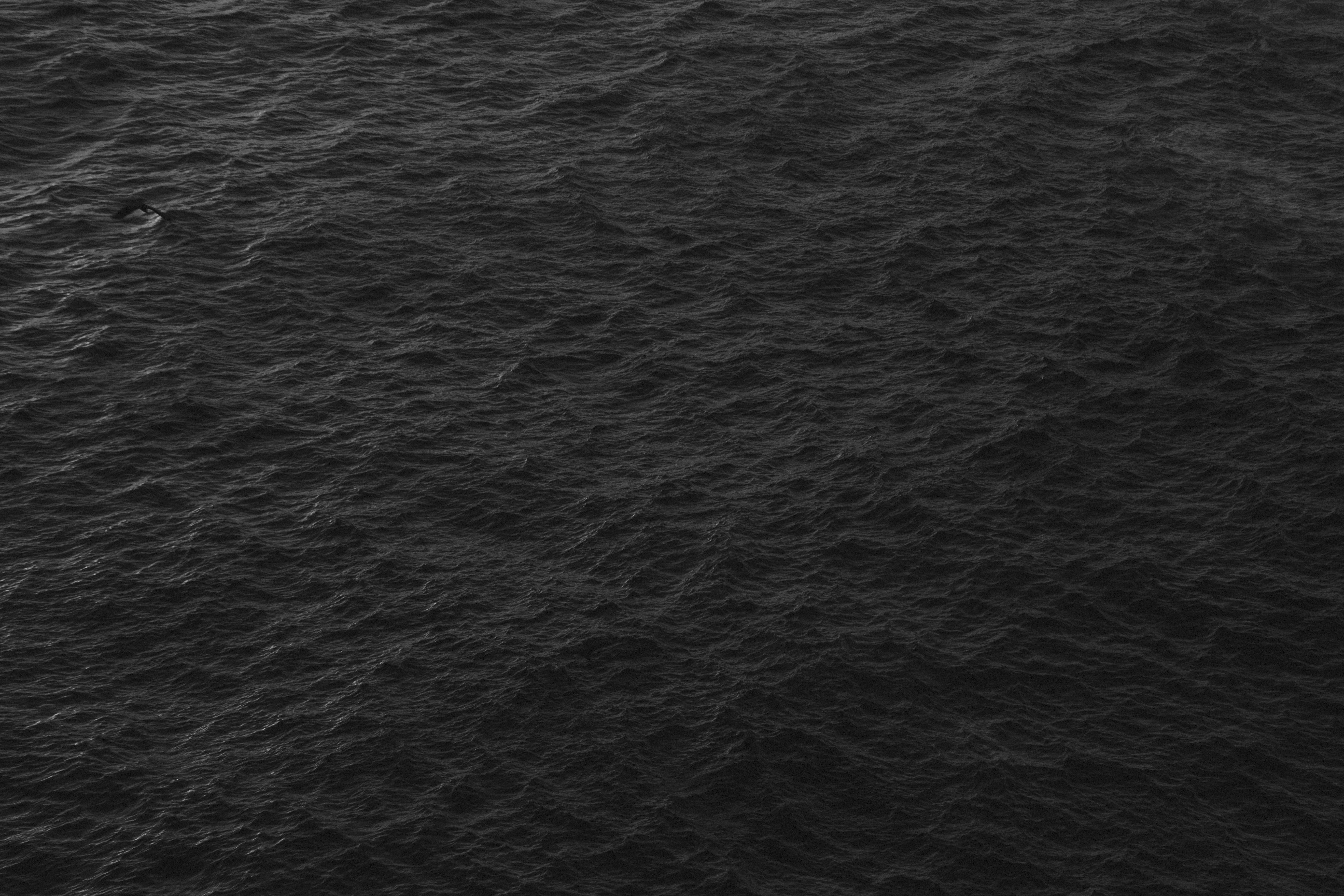 black color, textured, leather, softness, ocean, asphalt, nature, texture, no people, concrete, 5K, water, material, rough, clean, pattern, rippled, textured effect, HD Wallpaper