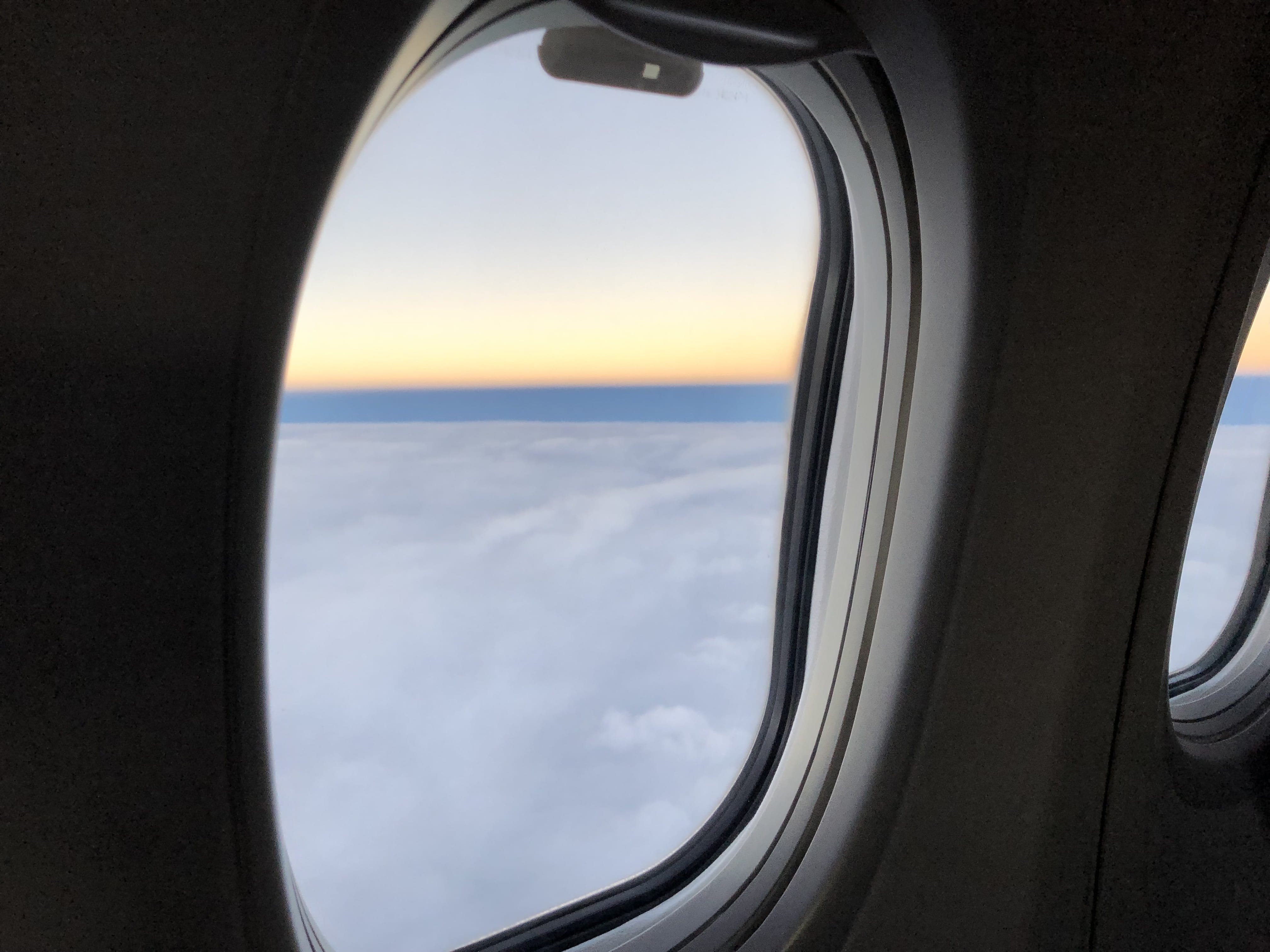 no people, nature, white, clothing, binoculars, fish, mid-air, glass - material, airplane, car, curtain, window, vehicle interior, apparel, flying, contact lens, HD Wallpaper
