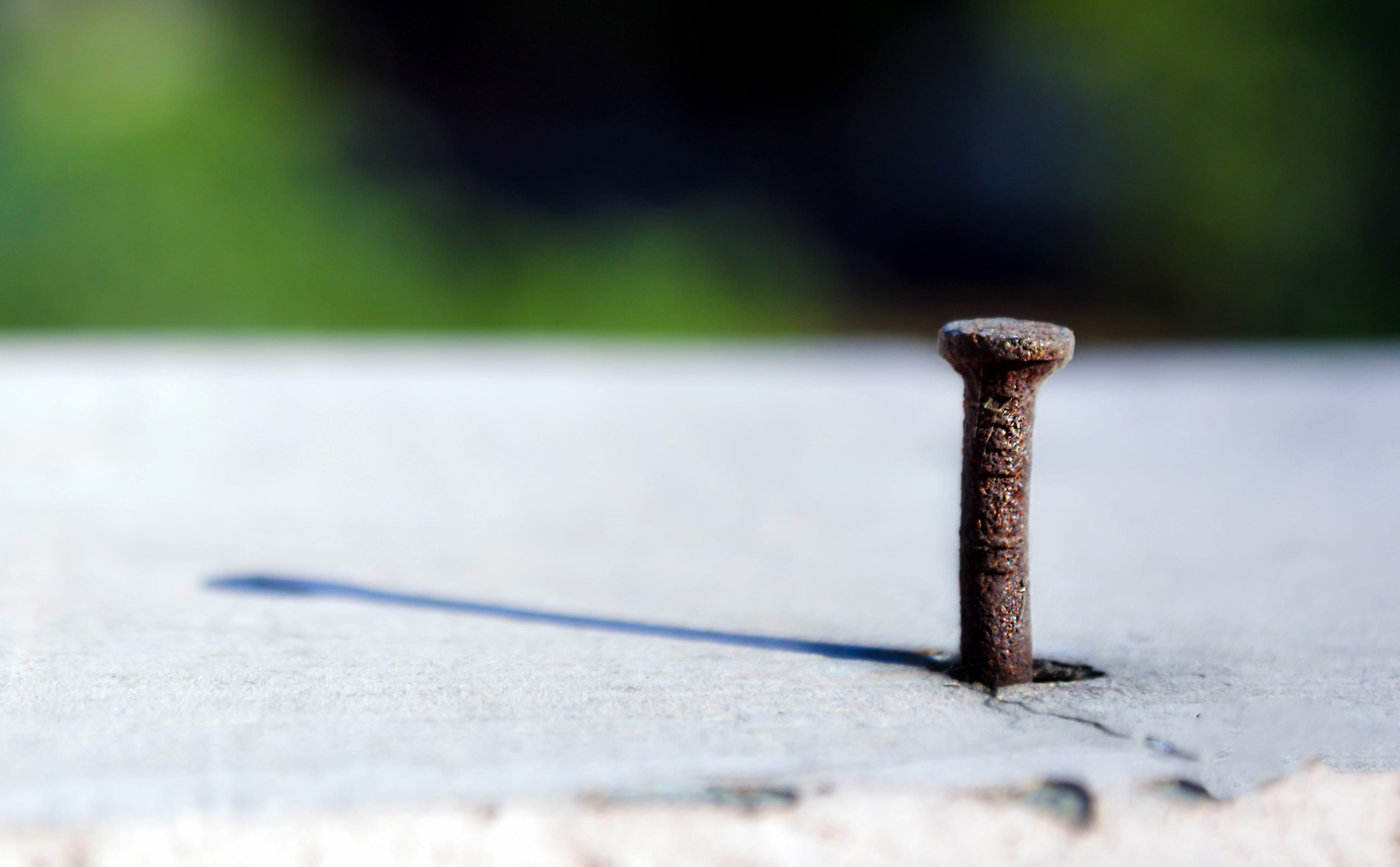 textured, incense, spiral, animal, machine, sunlight, strength, cylinder, experimental, ammunition, bird, weaponry, weapon, outdoors, day, 2K, rusty, rust, HD Wallpaper
