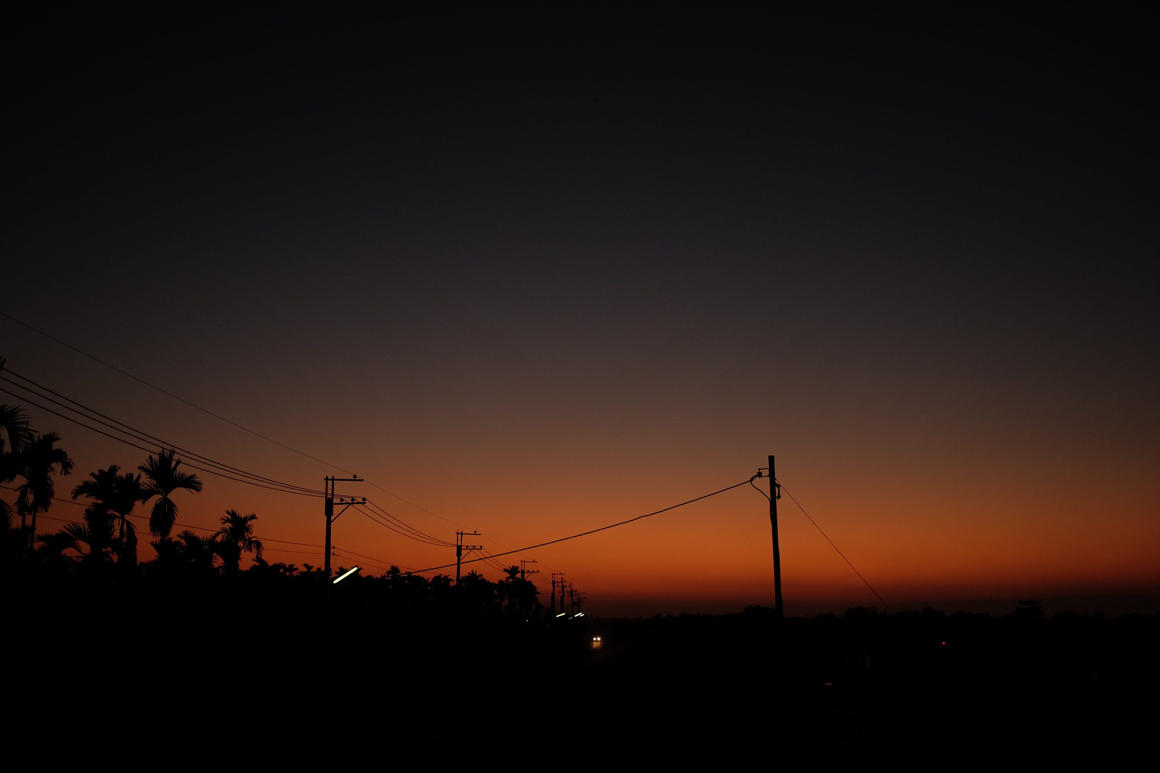 keyboard, silhouette, power supply, agelaius, dusk, electronics, sunset, wire, fuel and power generation, beauty in nature, animal, plant, 4K, tree, electricity, HD Wallpaper
