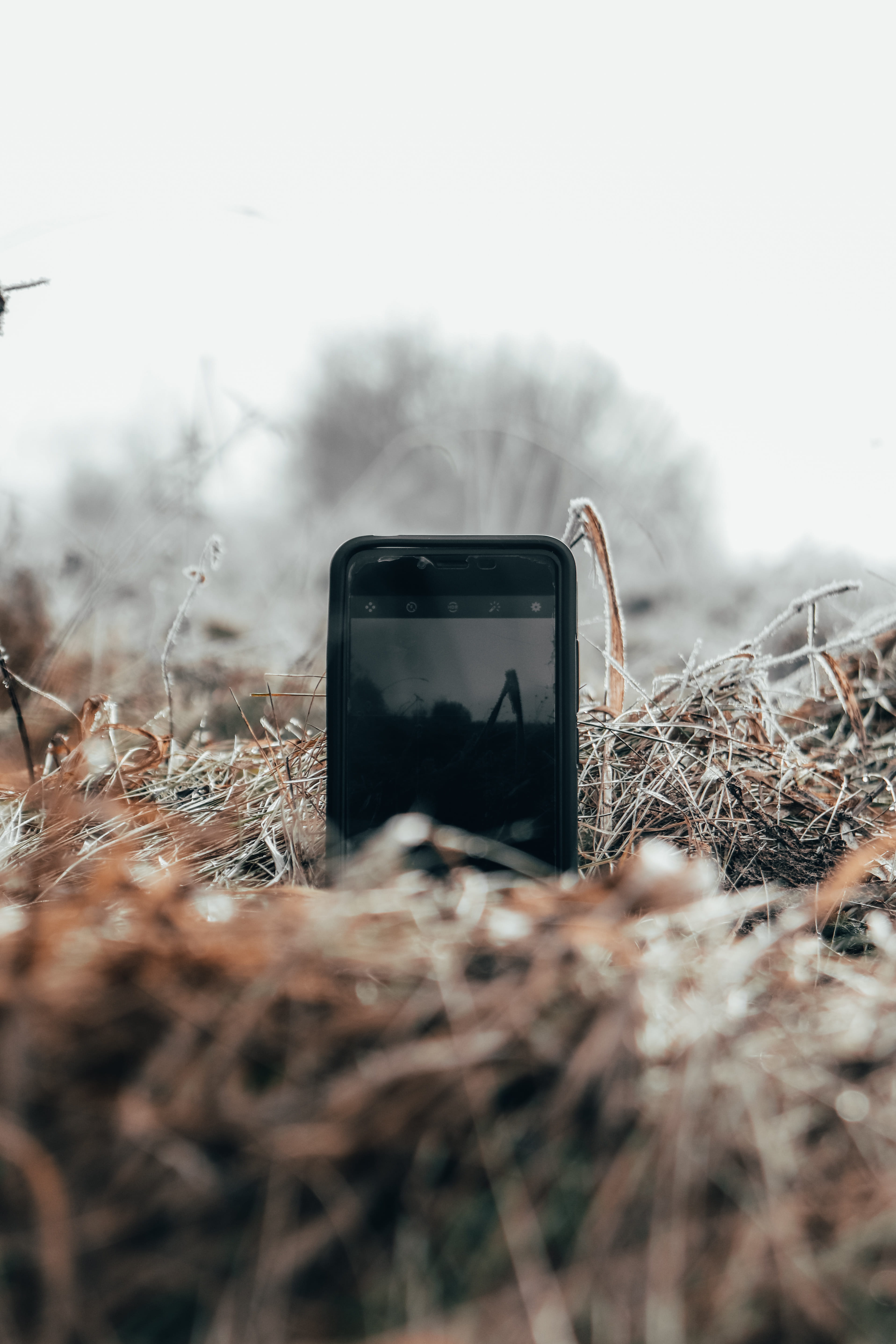 bird, no people, cell phone, buzzard, close-up, anthus, hawk, smart phone, deer, electronics, agelaius, portable information device, iphone, smartphone, Phone HD Wallpaper