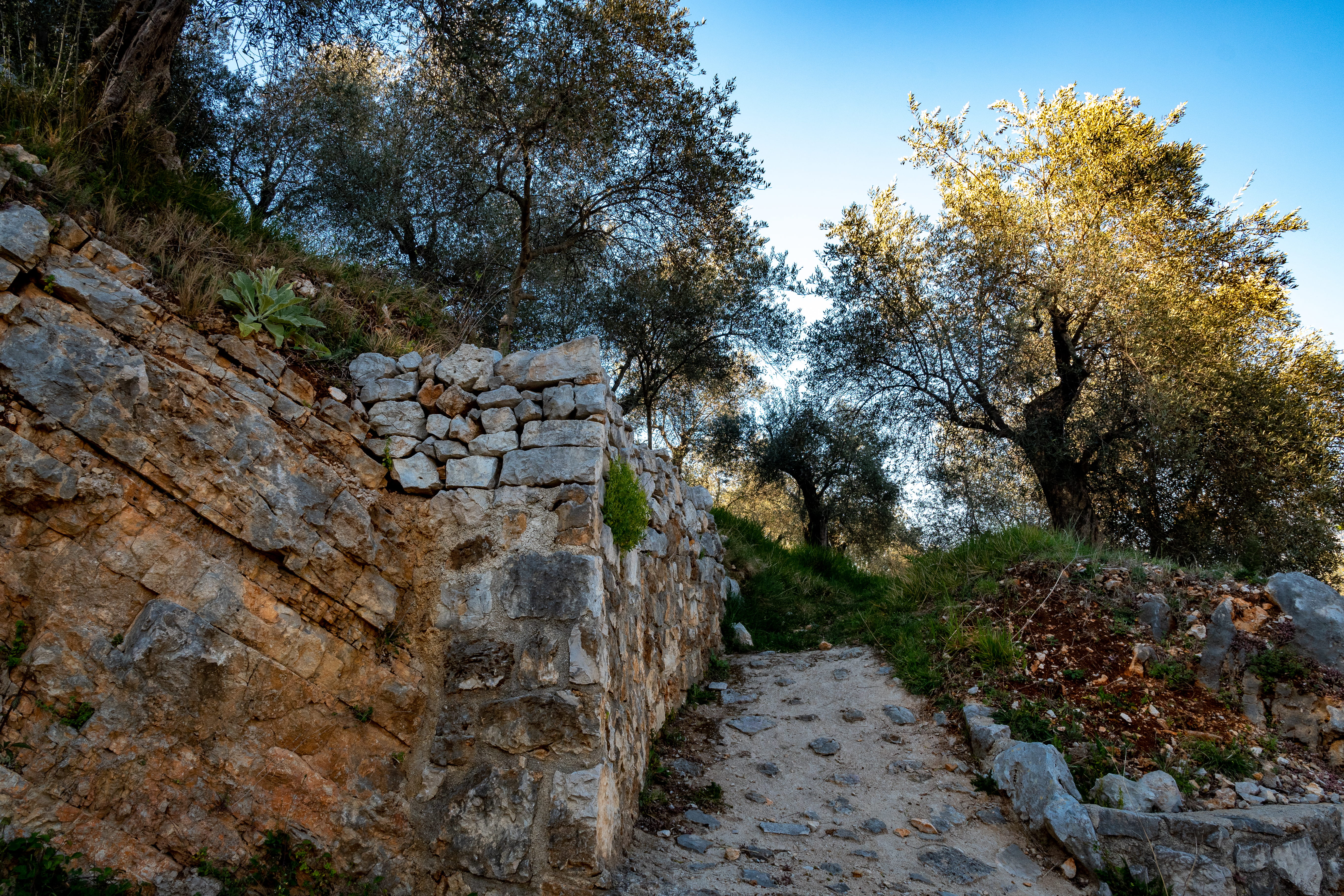 history, tranquility, prossedi, stone wall, ruins, bunker, solid, olive trees, walkway, human, no people, the way forward, building, outdoors, person, change, HD Wallpaper