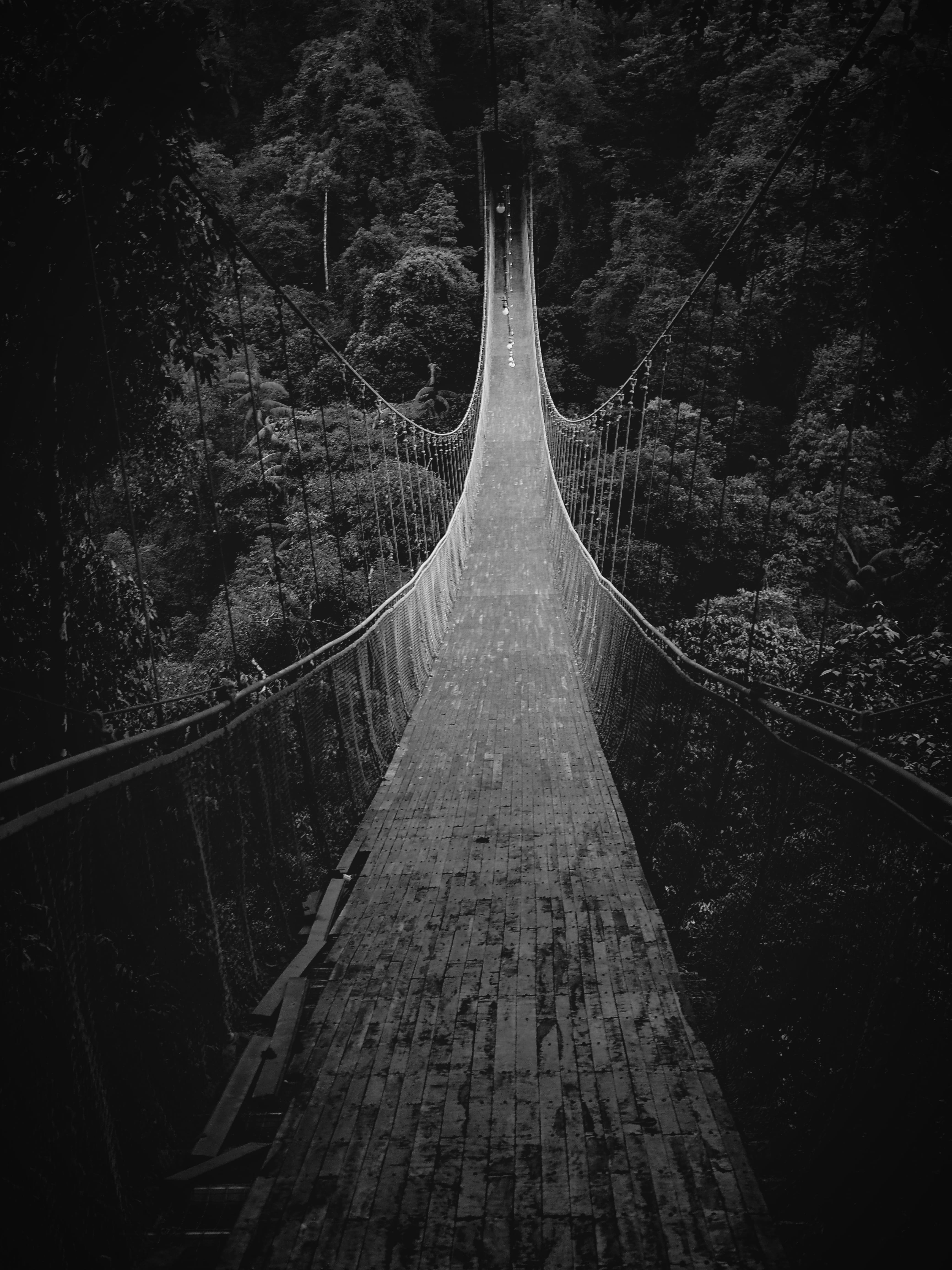 green, photography, no people, direction, bridge - man made structure, footbridge, diminishing perspective, connection, boardwalk, building, built structure, Phone HD Wallpaper
