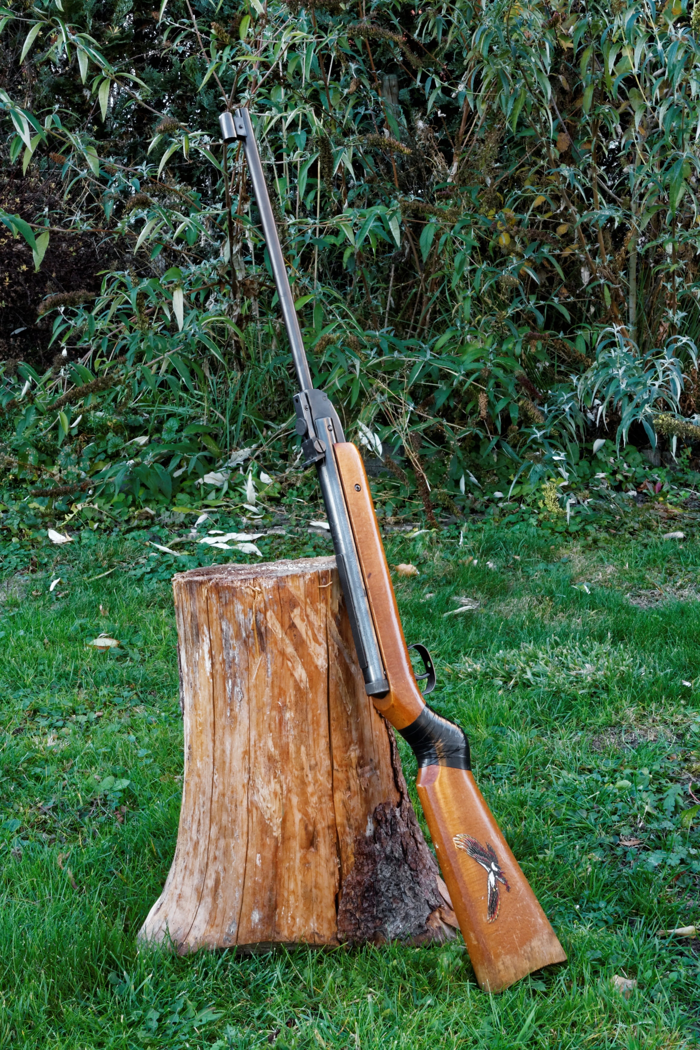 axe, tree, equipment, forest, gardening, bark, gun, timber, 2K, tool, work tool, rifle, air pressure gun, no people, green color, objectives, hand tool, Phone HD Wallpaper
