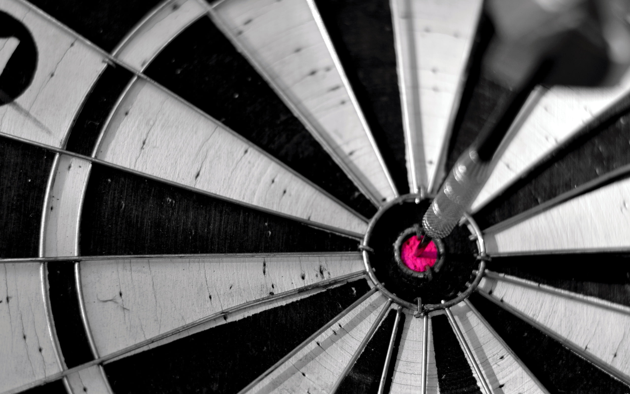 dartboard, 2K, sport, macro, bullseye, HD Wallpaper