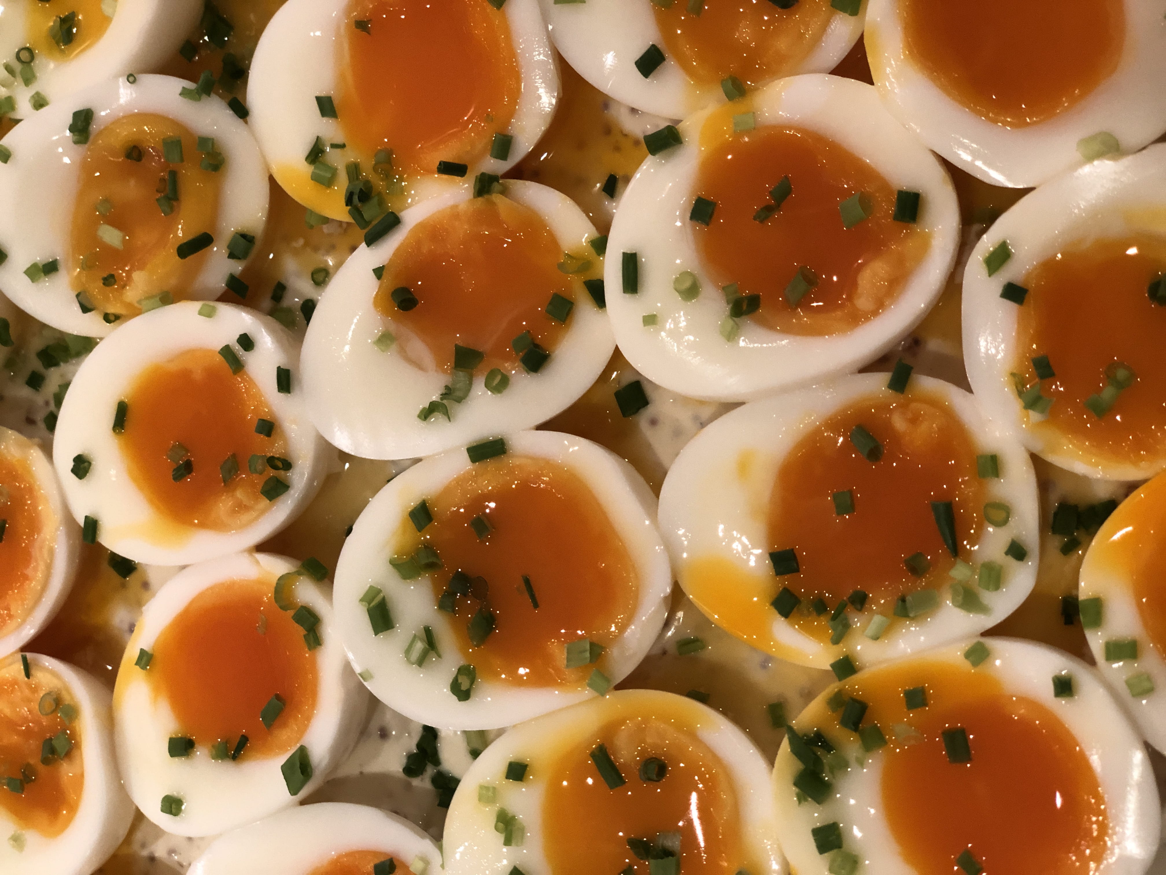plate, accuracy, egg, protein, directly above, crockery, yolk, soft boiled egg, fine, timing, meal, freshness, 4K, healthy eating, health, chive, white, HD Wallpaper