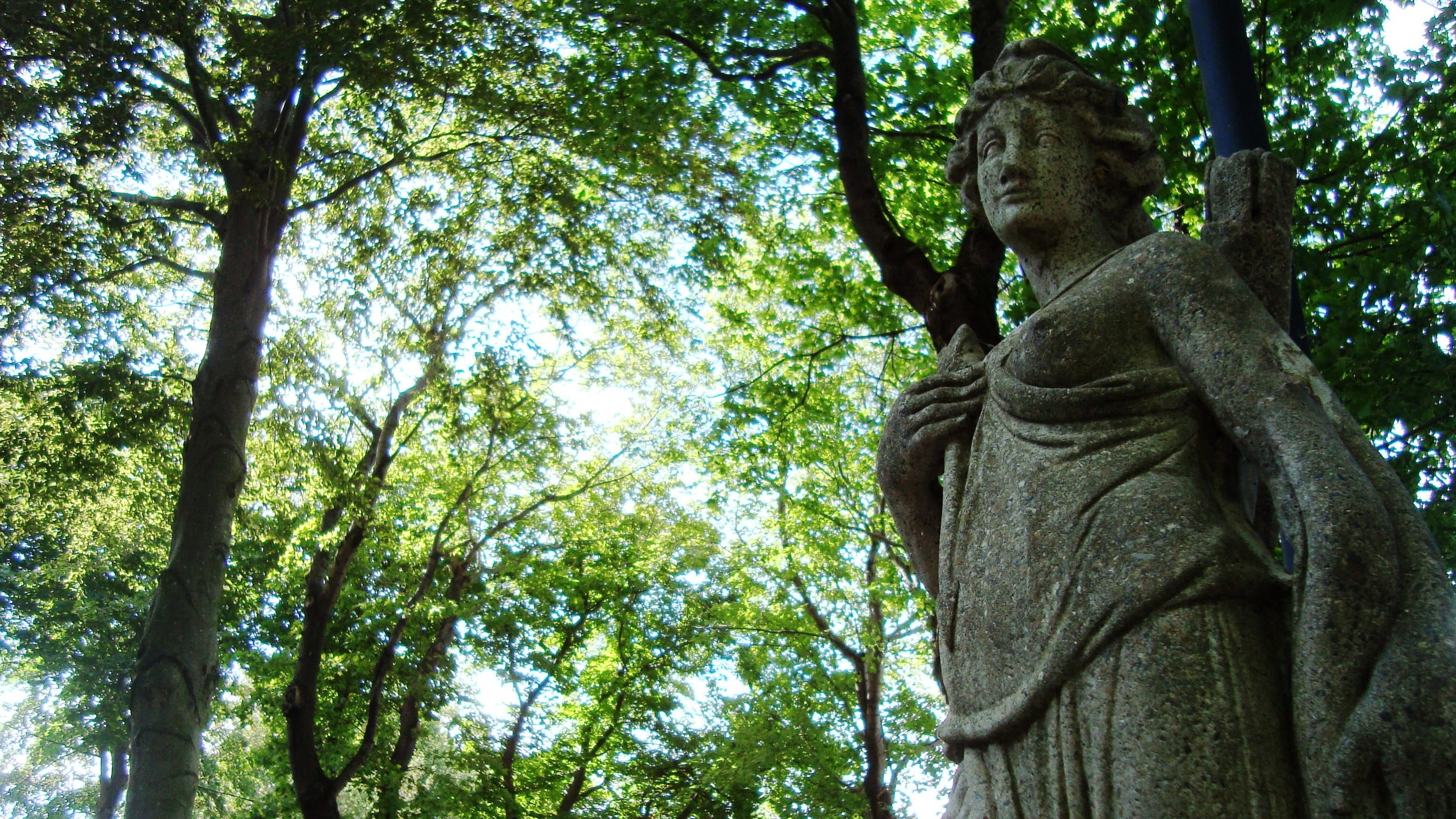 low angle view, statue, human representation, no people, archery, sculpture, archer, tree, outdoors, belief, nature, craft, tree trunk, goddess, male likeness, HD Wallpaper