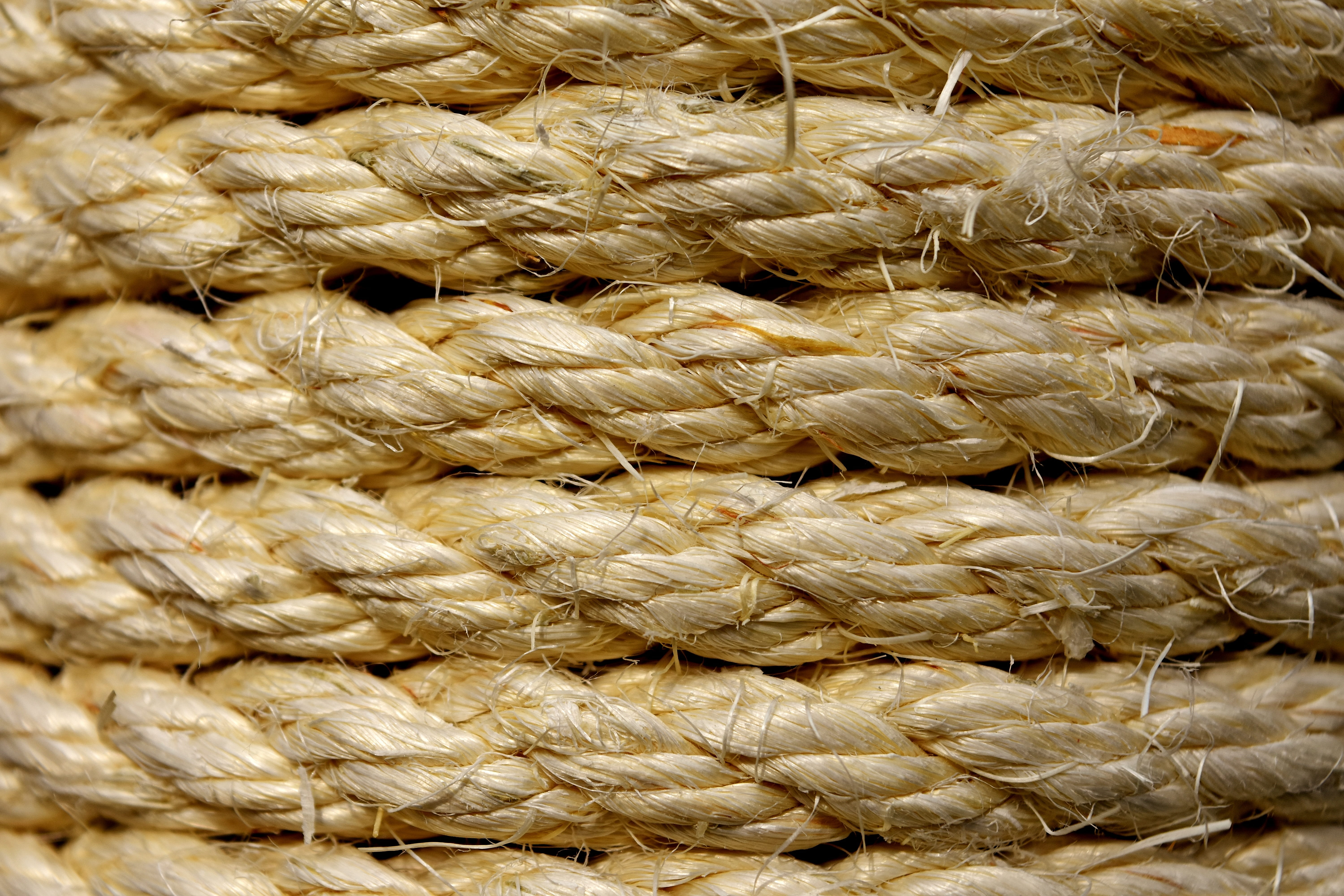sisal, creativity, no people, container, day, coiled, pattern, 5K, woven, hairstyle, craft, full frame, backgrounds, close-up, hair, basket, wrapped, cord, HD Wallpaper