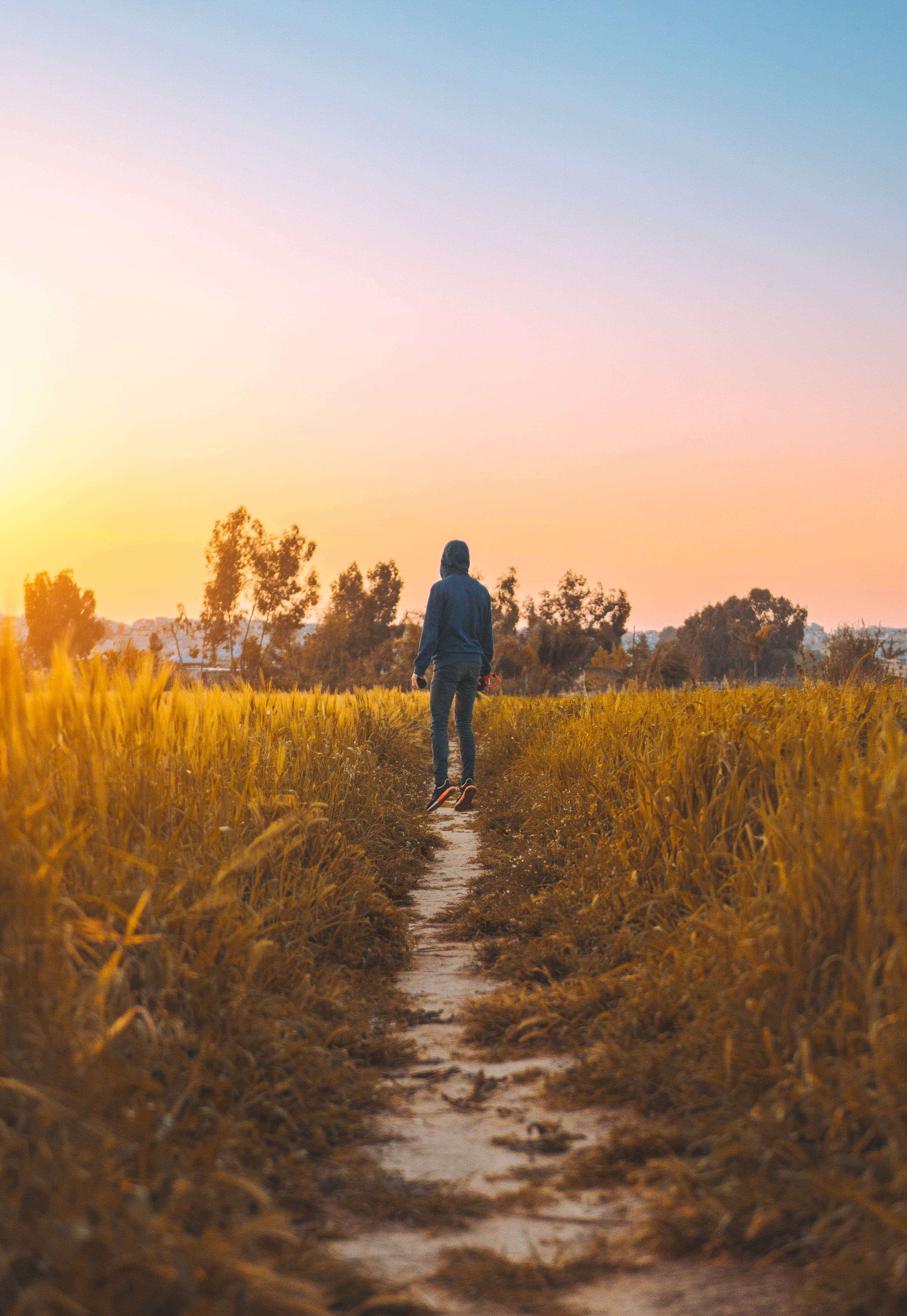 grass, dusk, one person, person, elevated, hooded, rear view, sweater, beauty in nature, elevation, tree, light, real people, fall, evening, dawn, leisure activity, Phone HD Wallpaper