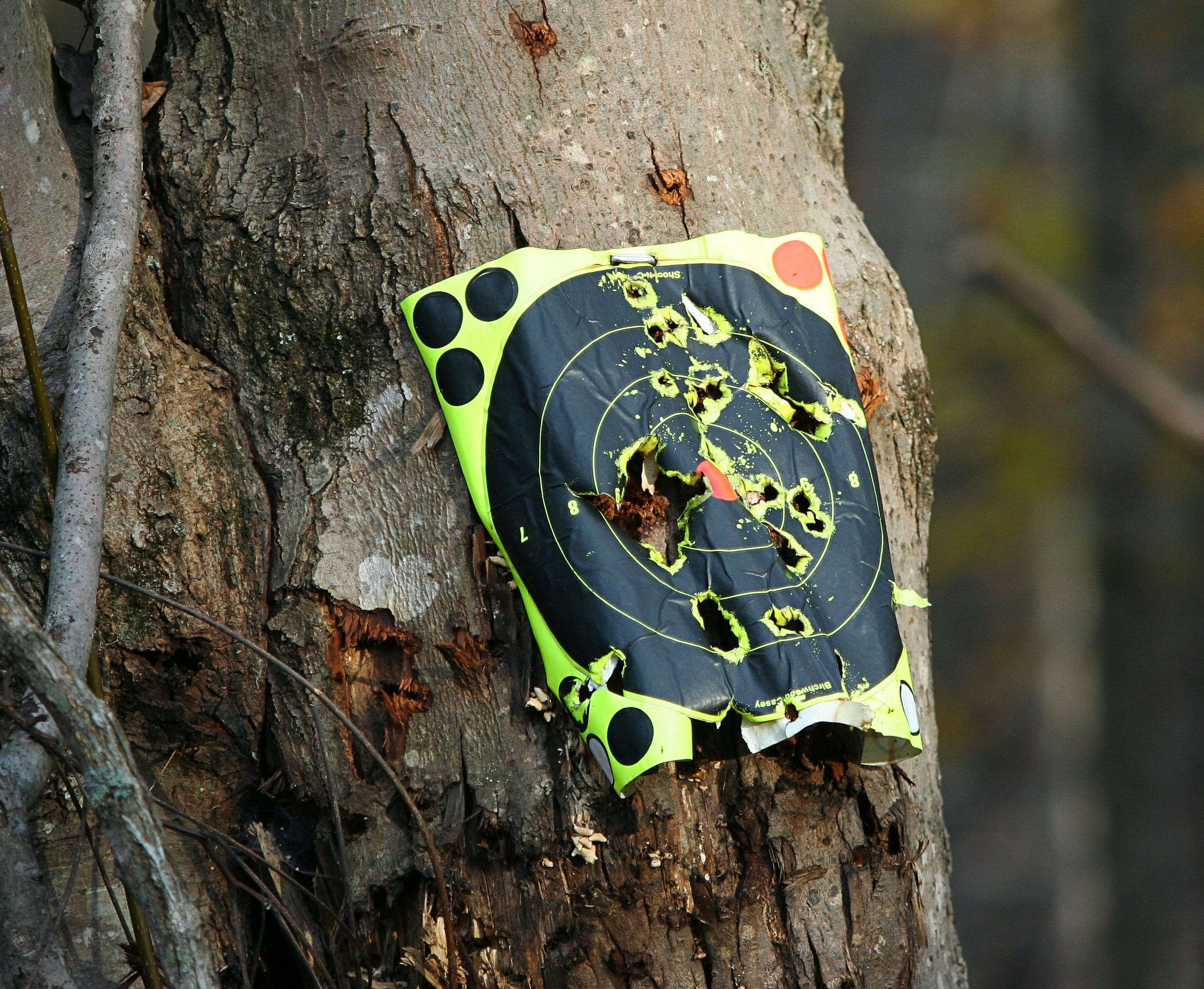 1080P, green color, leaf, Shooting, arrow, sport, no people, day, plant, archery, trunk, Target Practice, competition, outdoors, butterfly - insect, focus on foreground, HD Wallpaper