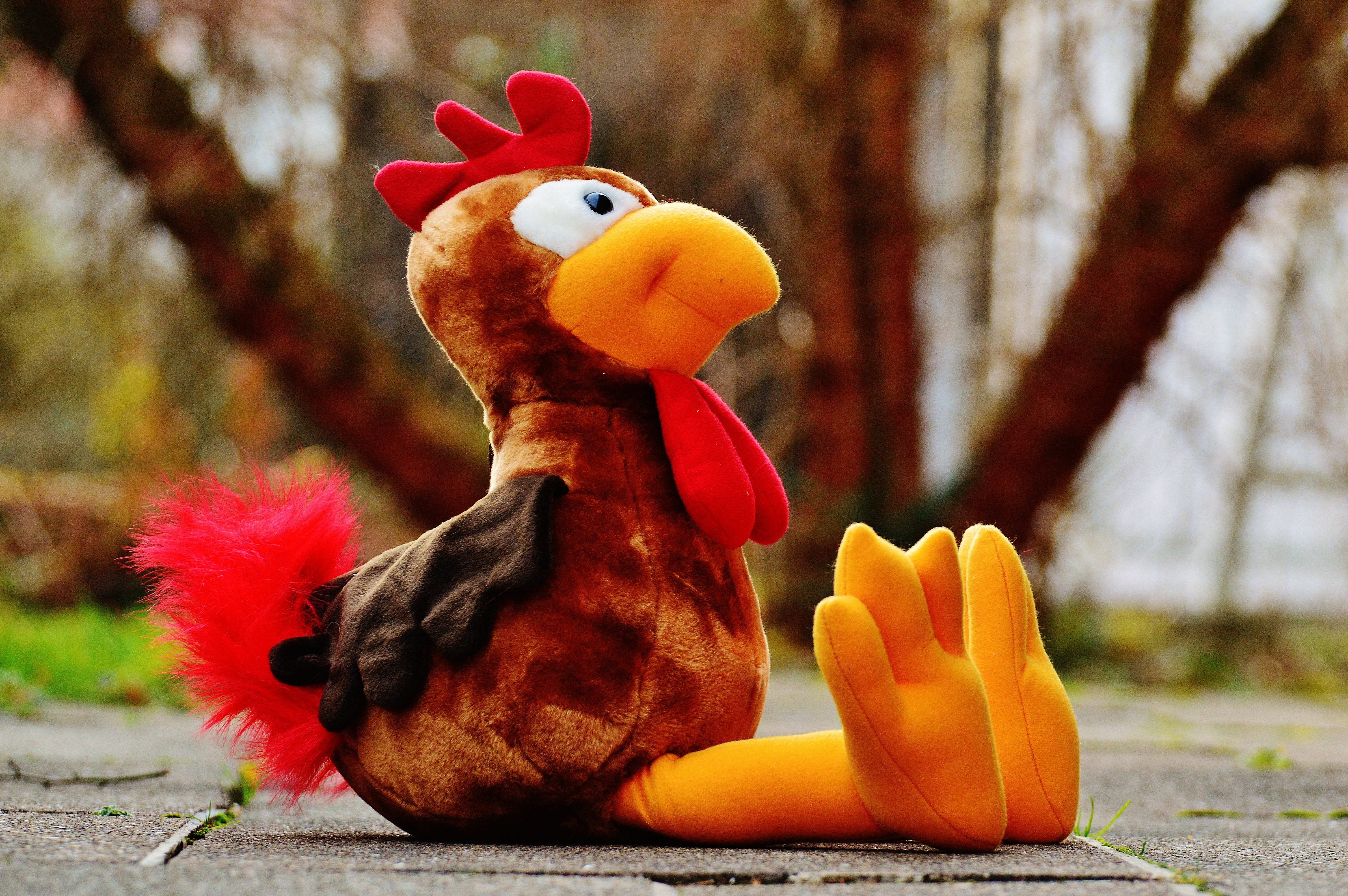 play, animal representation, animal themes, vertebrate, fun, celebration, close-up, autumn, day, tree, toys, no people, outdoors, hahn, stuffed animal, HD Wallpaper