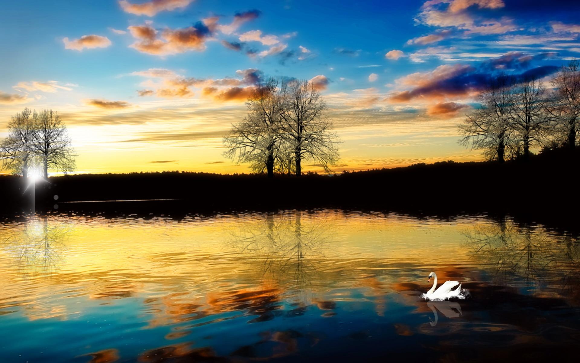 beautiful, still, 1080P, peaceful, swan, sunset, 3d and abstract, lake, HD Wallpaper