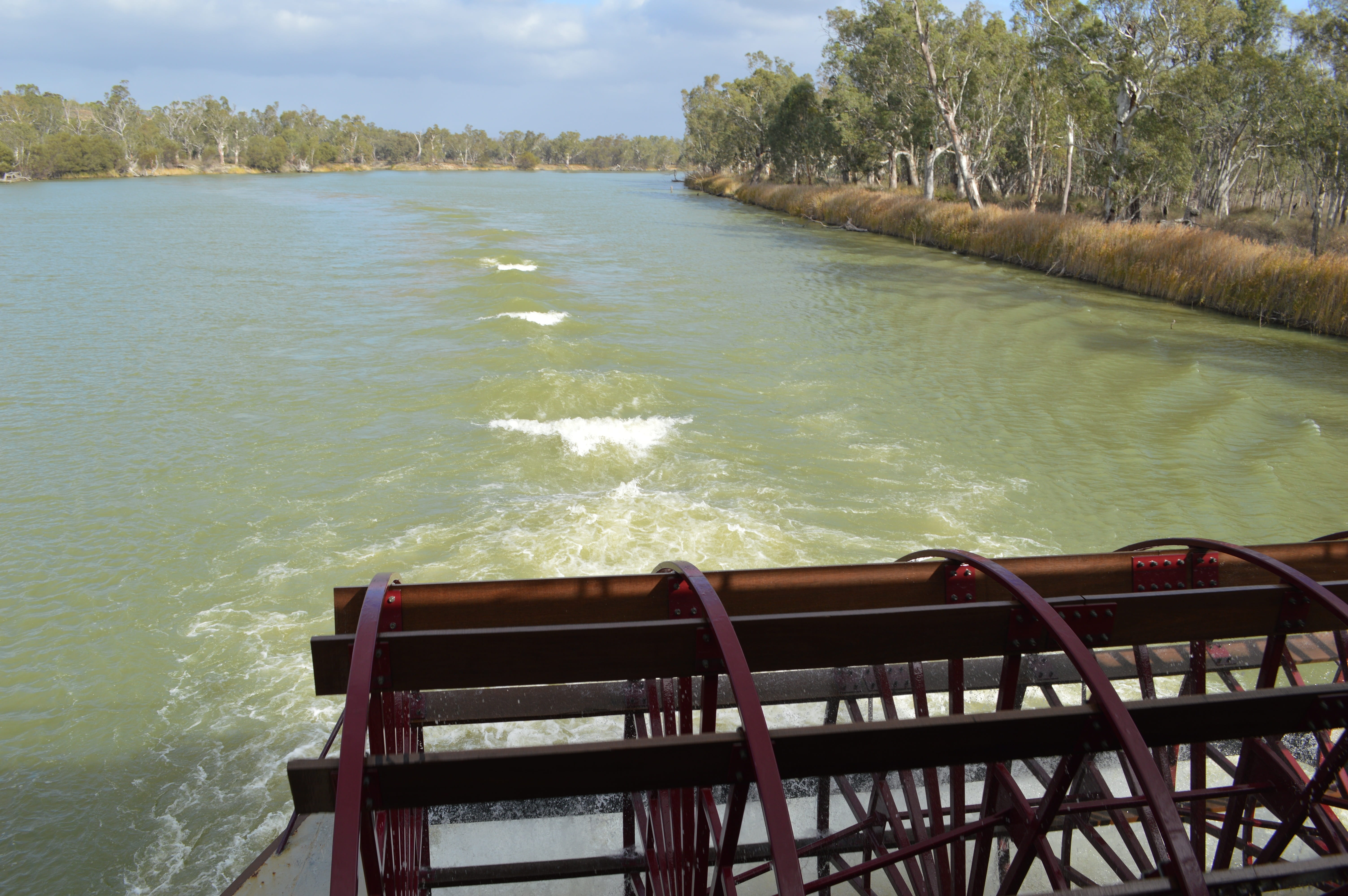 no people, non-urban scene, wood - material, summer, plant, Murray River, river, tree, architecture, Paddle Boat, water, day, paddle, south australia, scenics - nature, HD Wallpaper